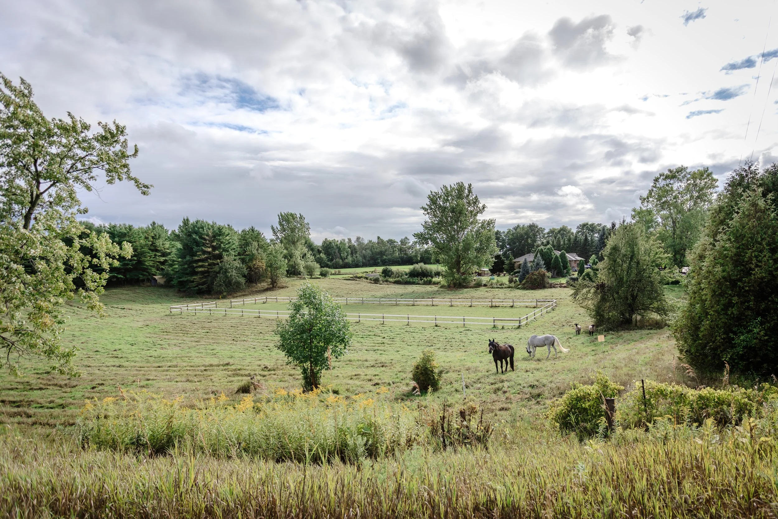 KrissyThompsonPhotography-Countryside-5.jpg