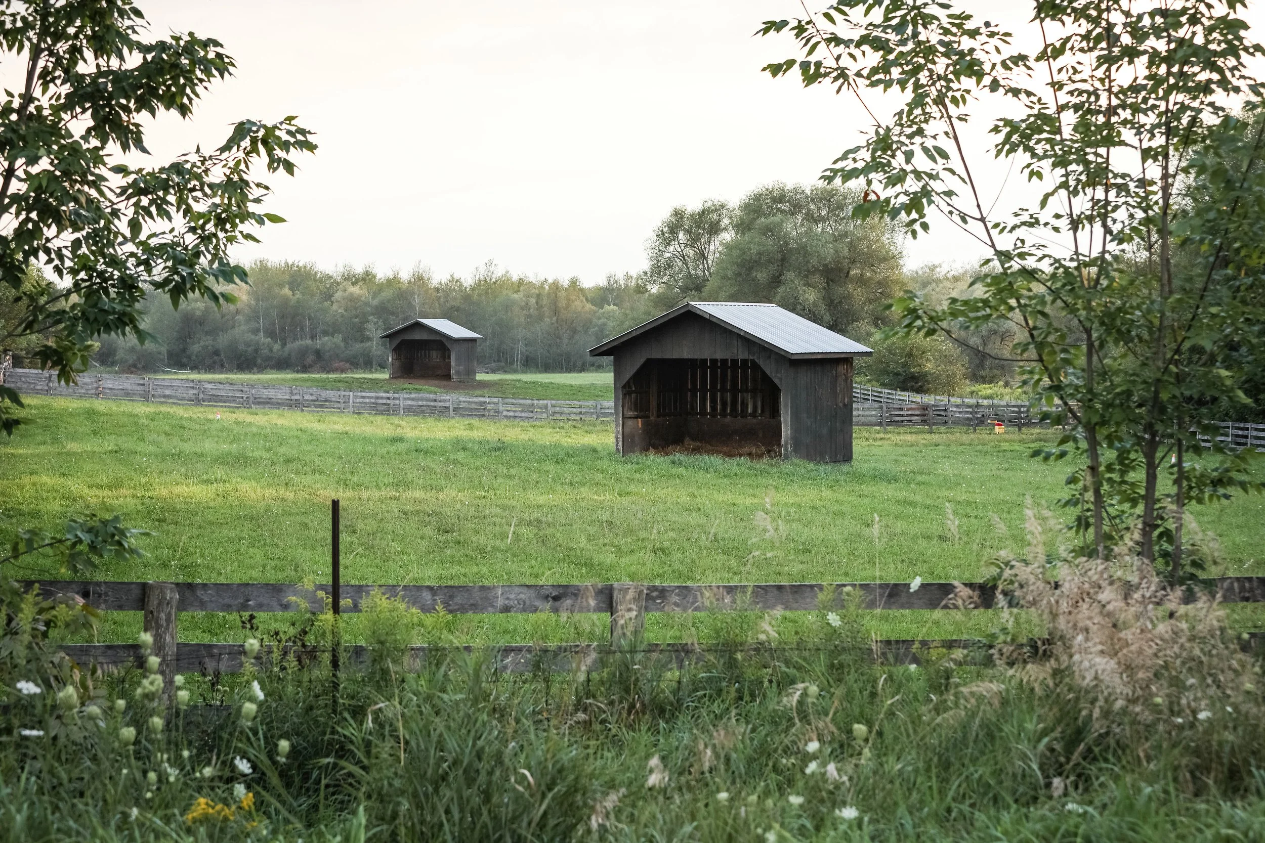 KrissyThompsonPhotography-Countryside-2.jpg