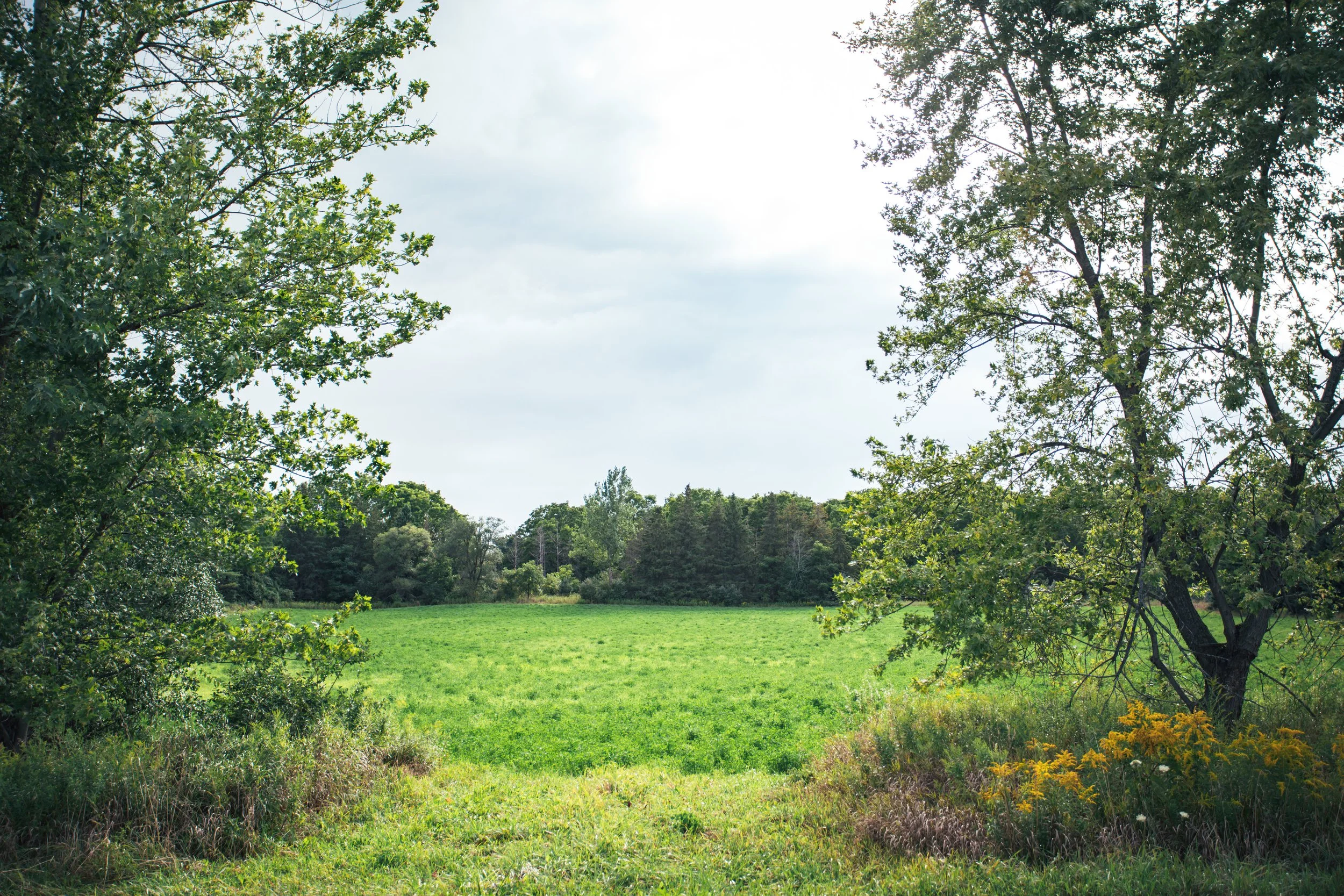 KrissyThompsonPhotography-Countryside-7.jpg