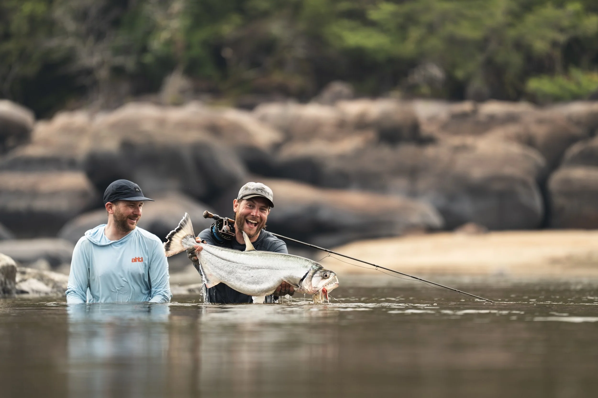 FISH COLOMBIA
