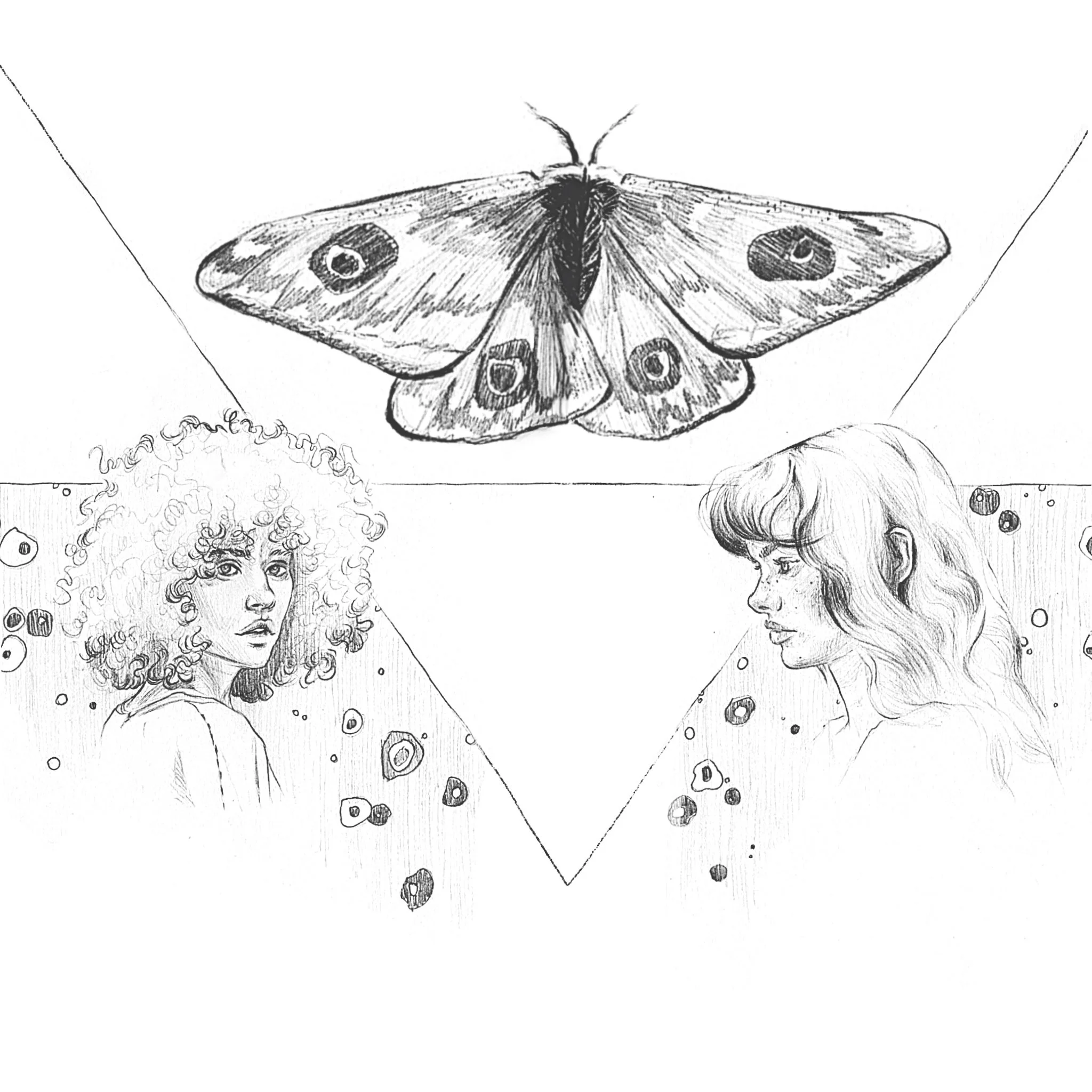 Moth
