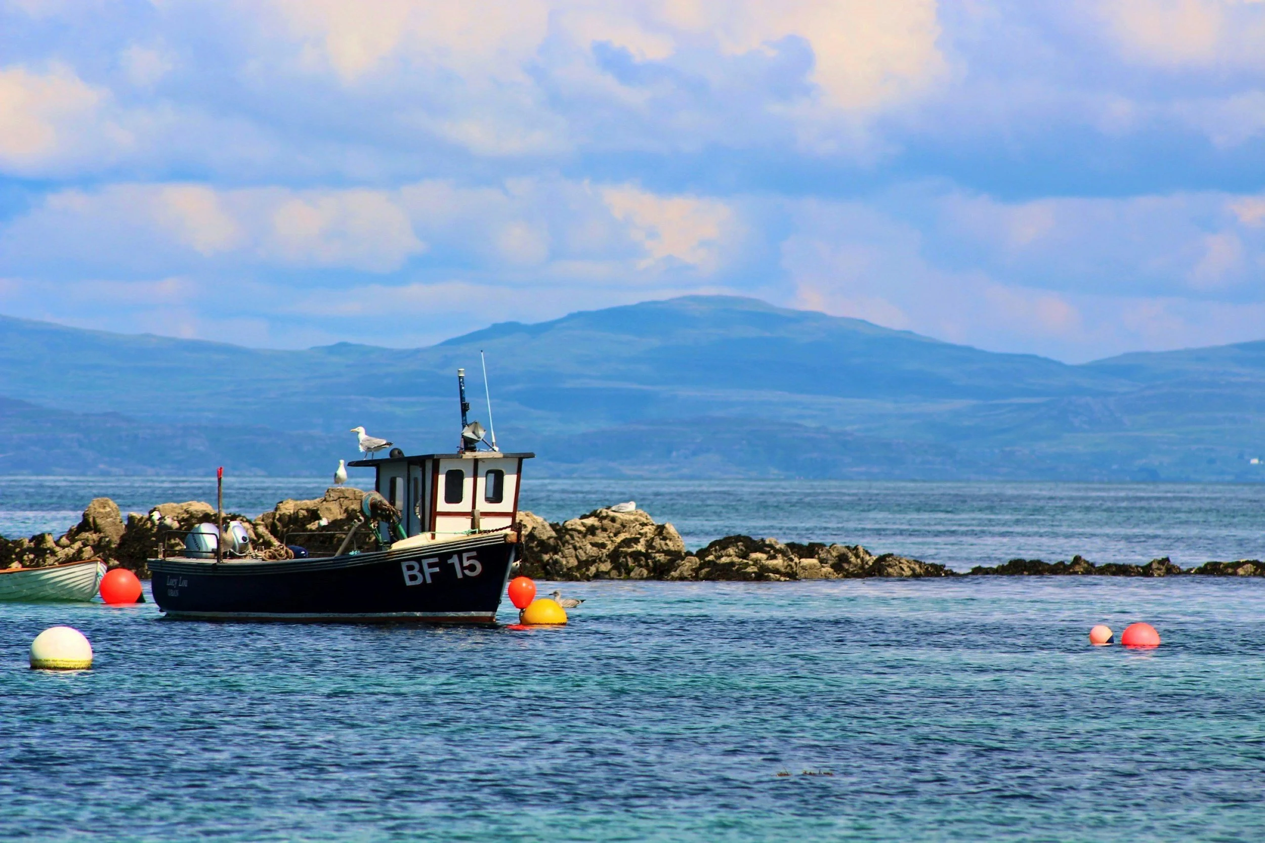 A small fishing boat with the identification BF 15 is floating near a rocky shoreline in a body of water, with seagulls perched on the boat and rocks. The water is calm, and the background features mountains under a partly cloudy sky.