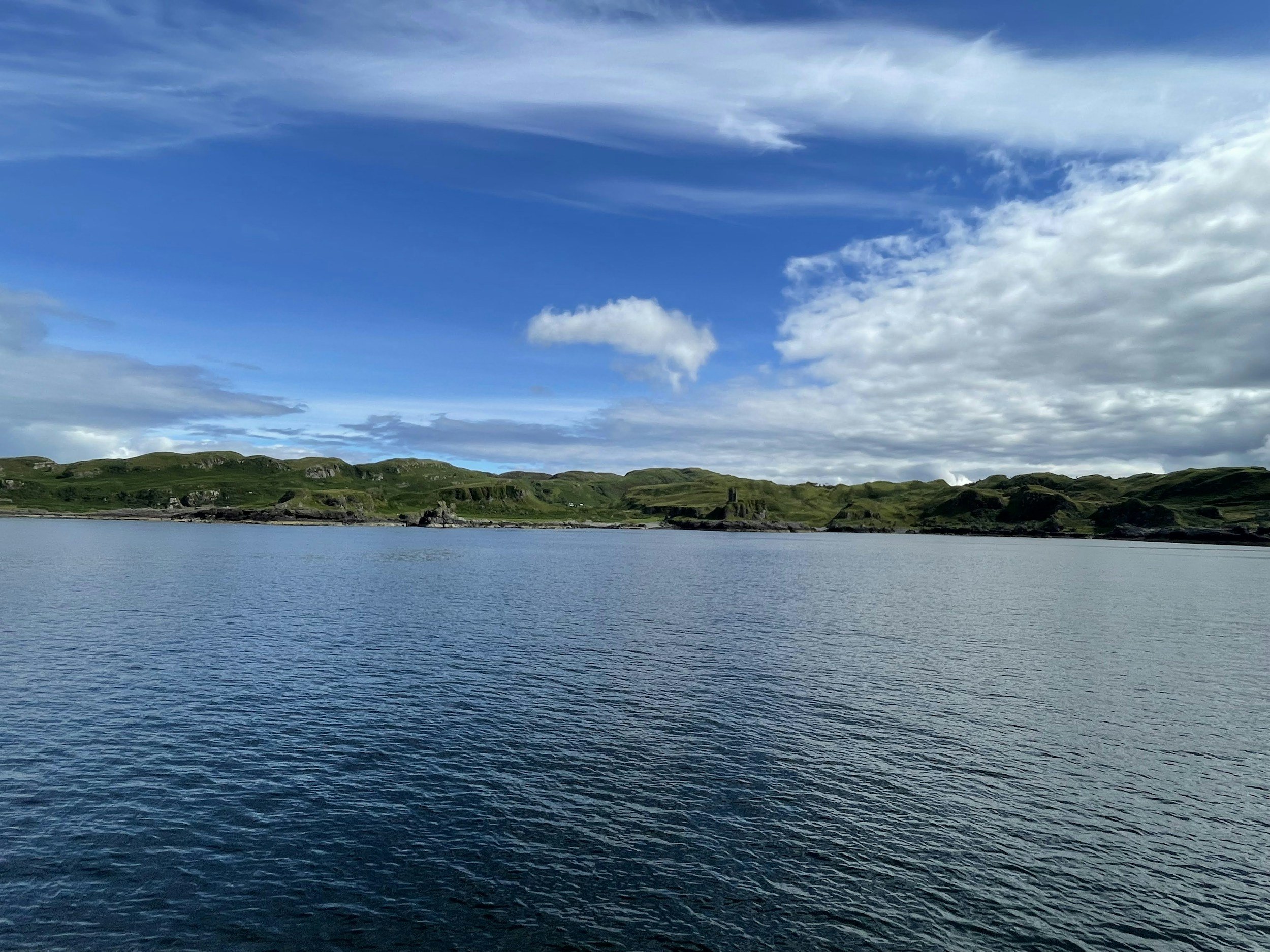 Cityscape with historic buildings at street level, commercial shops, and houses on a hill, with a fortress or large structure on a green hilltop in the background under a cloudy sky.