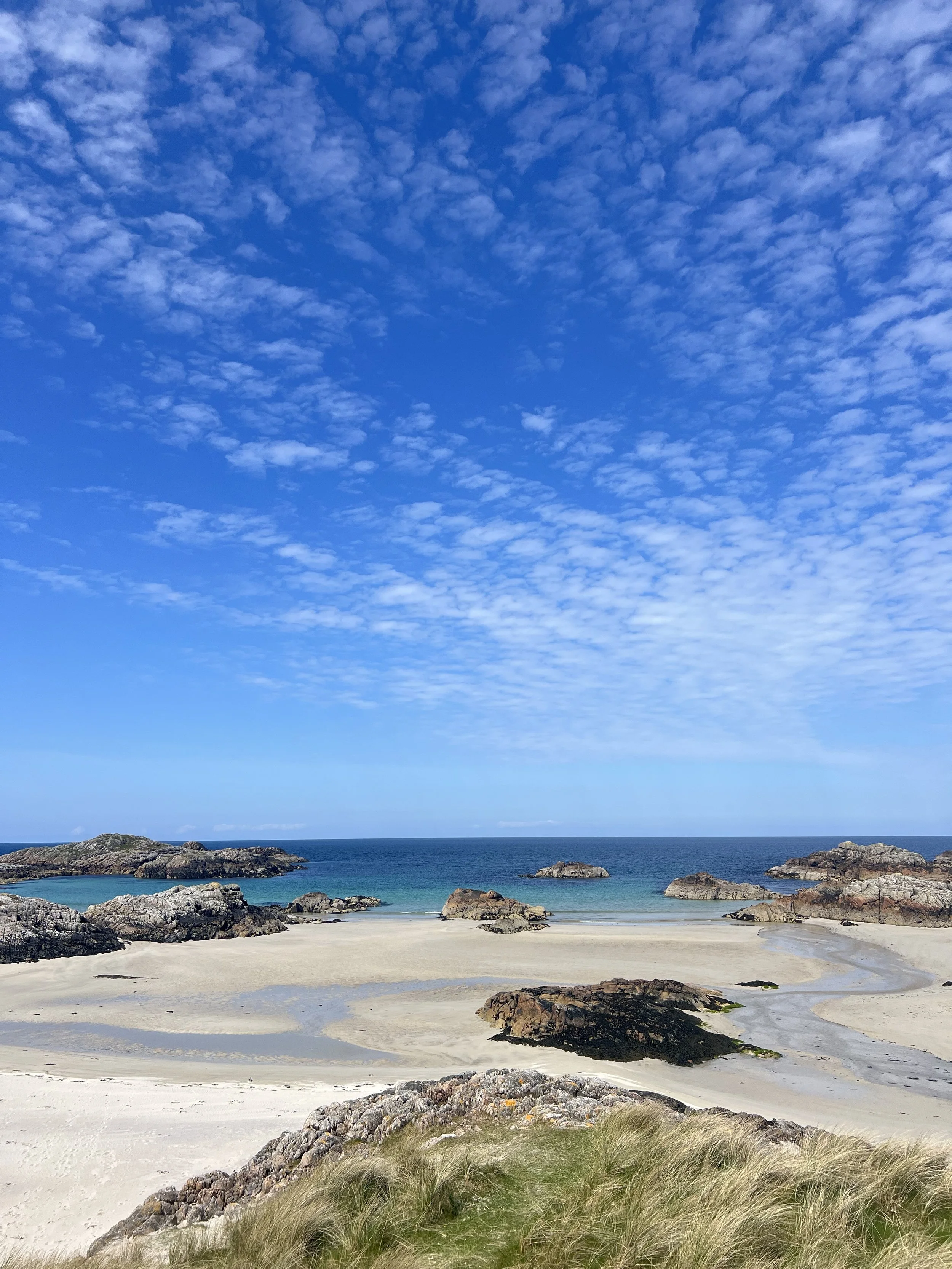 Rocky shoreline with large gray rocks and patches of green moss, overlooking a body of water with mountains in the background and a partly cloudy sky.