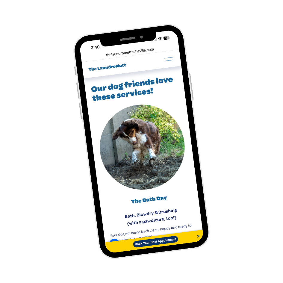 The Services page of The LaundroMutt website, designed by Lark About Design