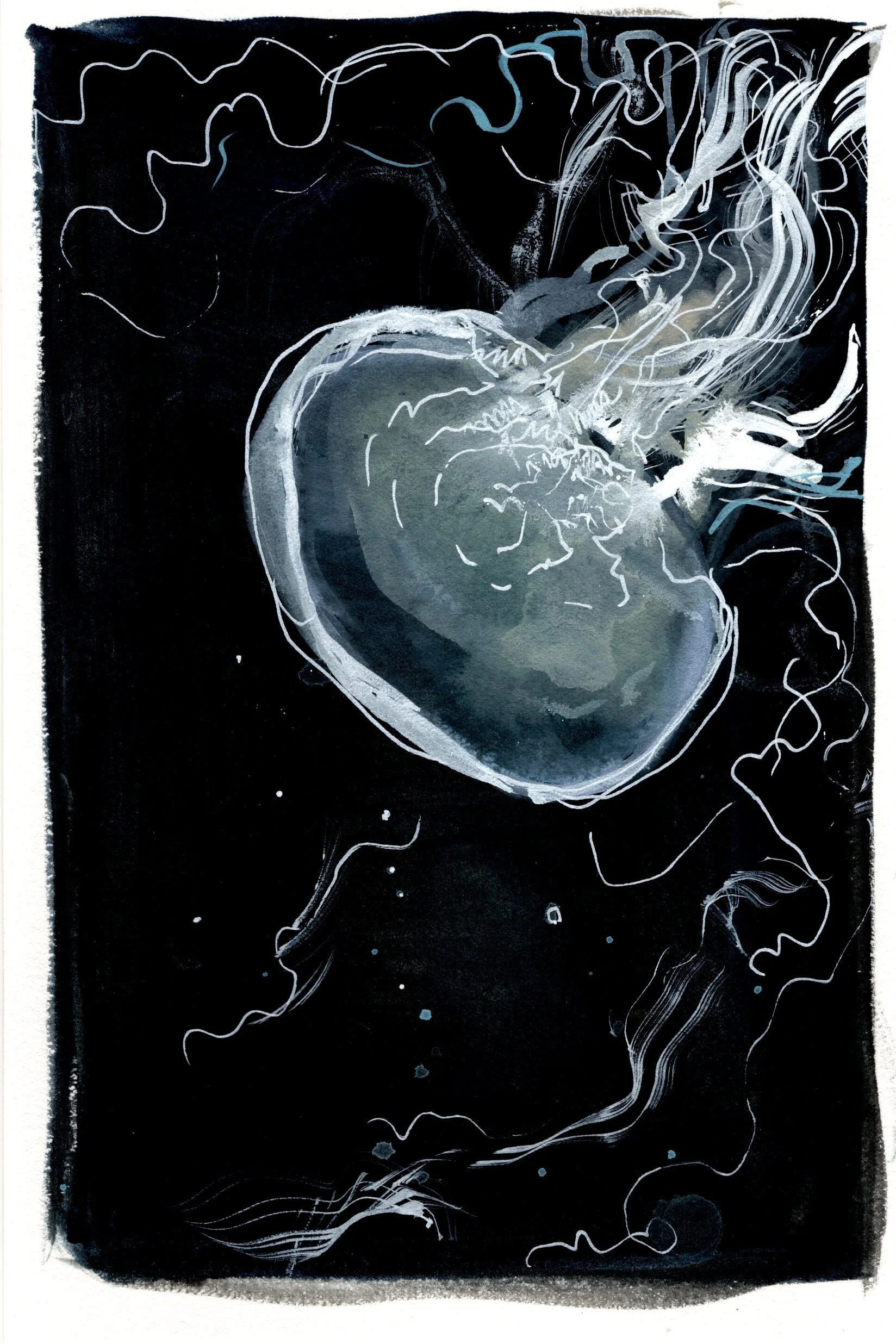 Alaskan Jellyfish - Fine Art Print