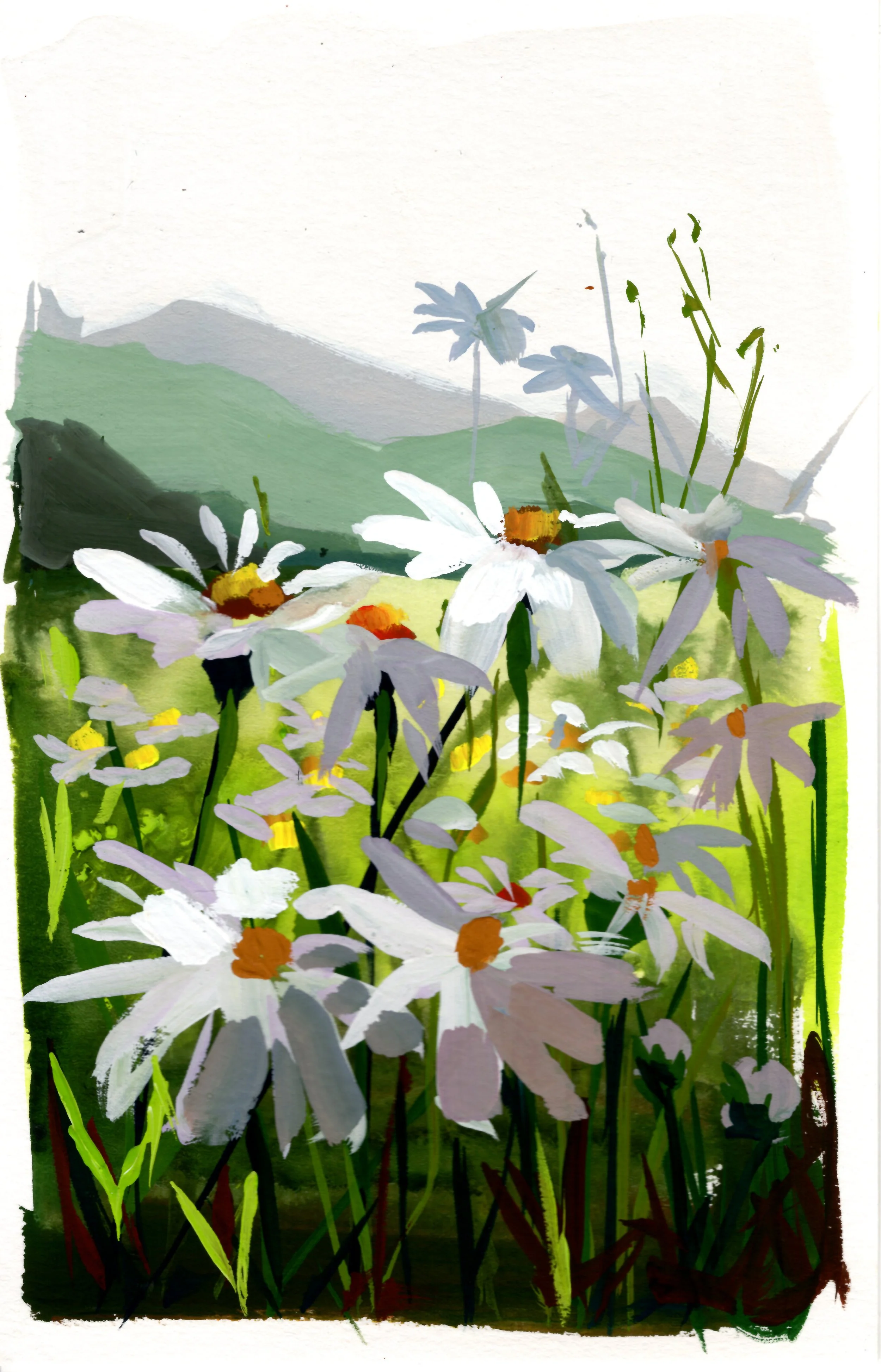 Daisies I - Fine Art Print