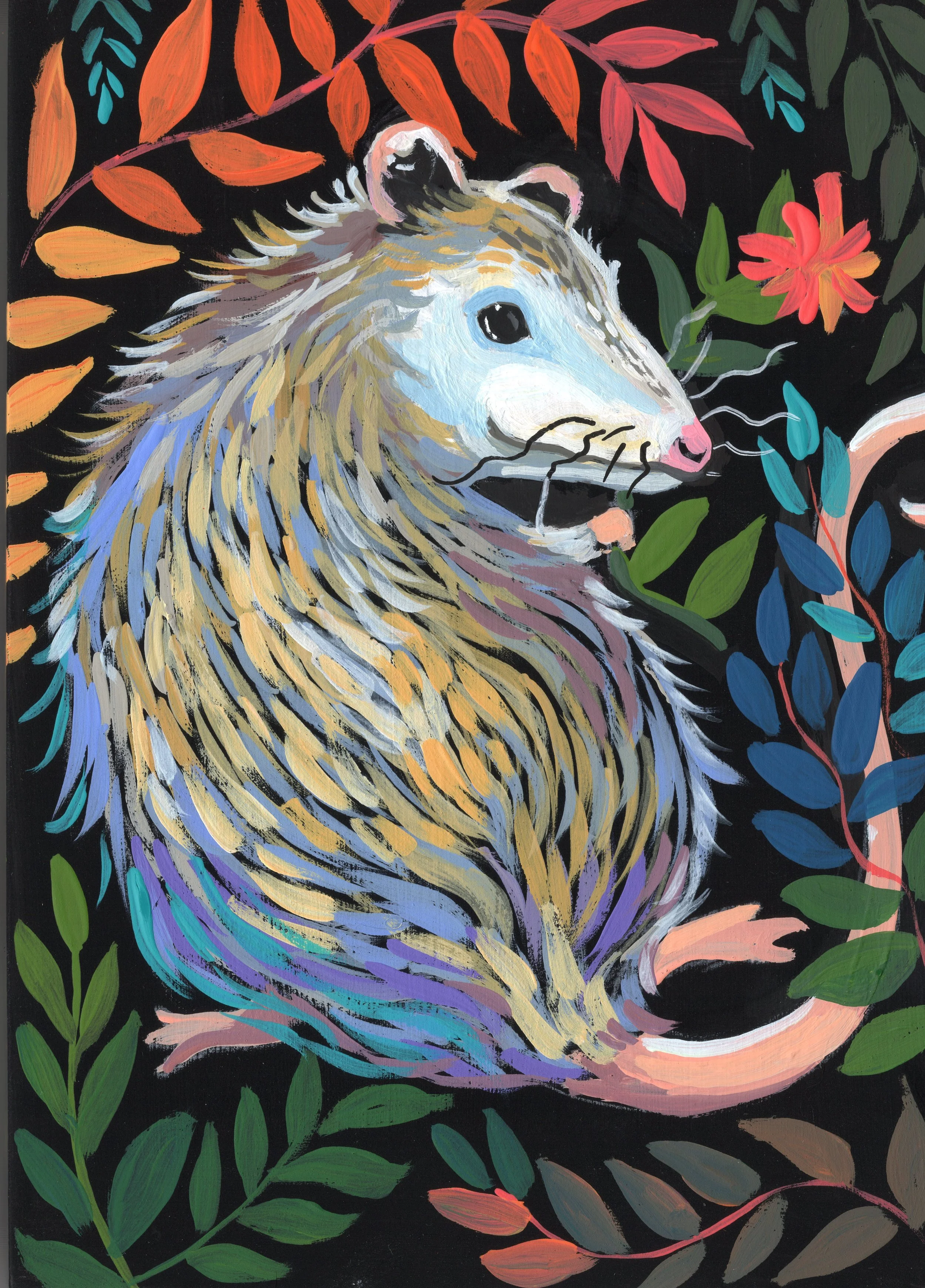Opossum - Fine Art Print
