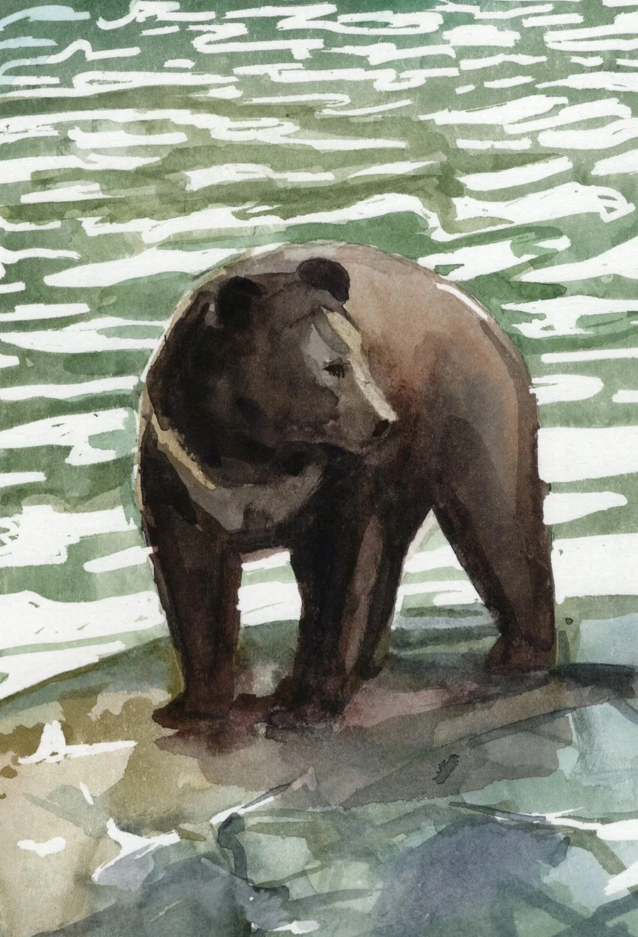 Alaska Series