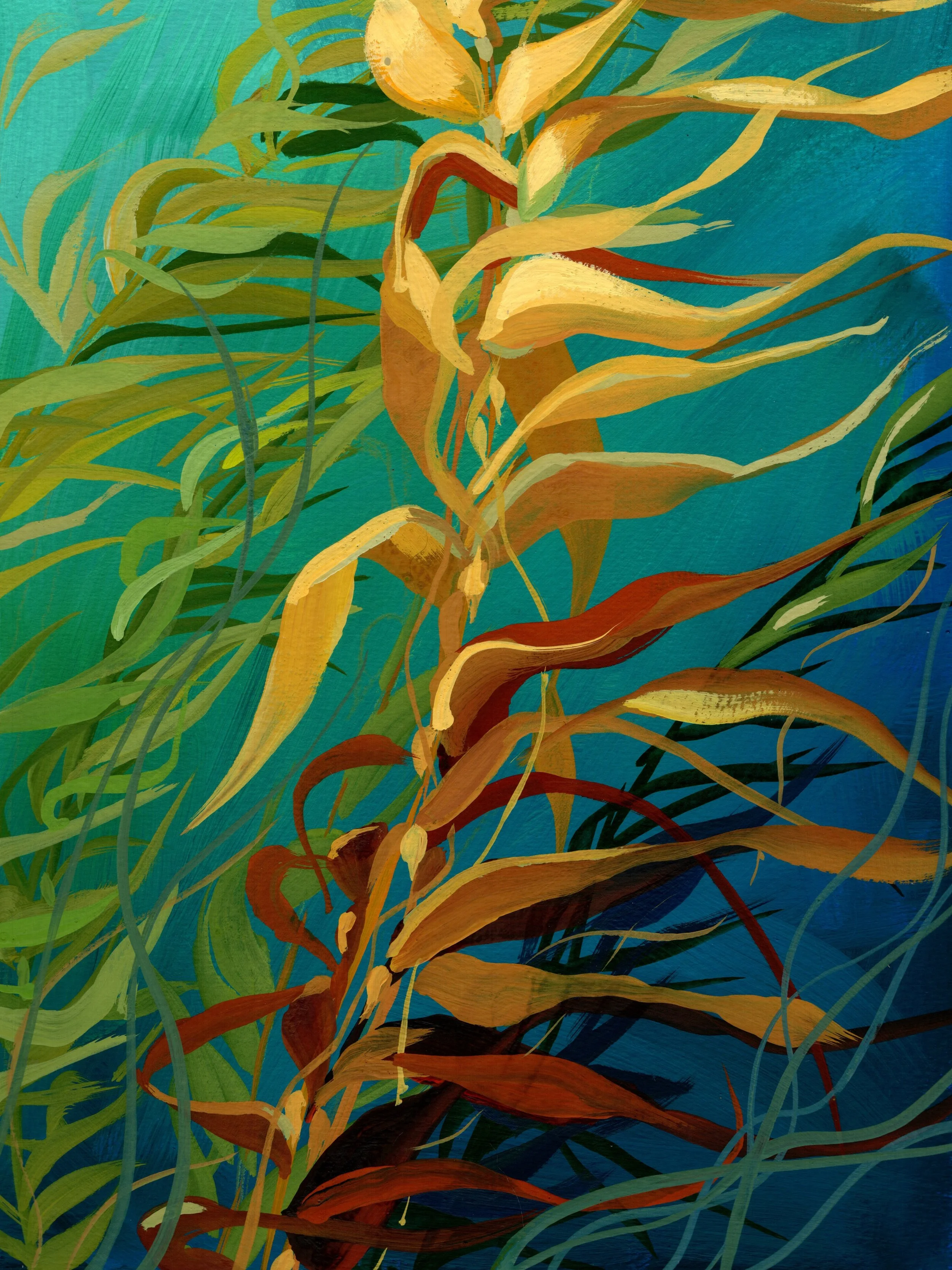 Kelp - Fine Art Print