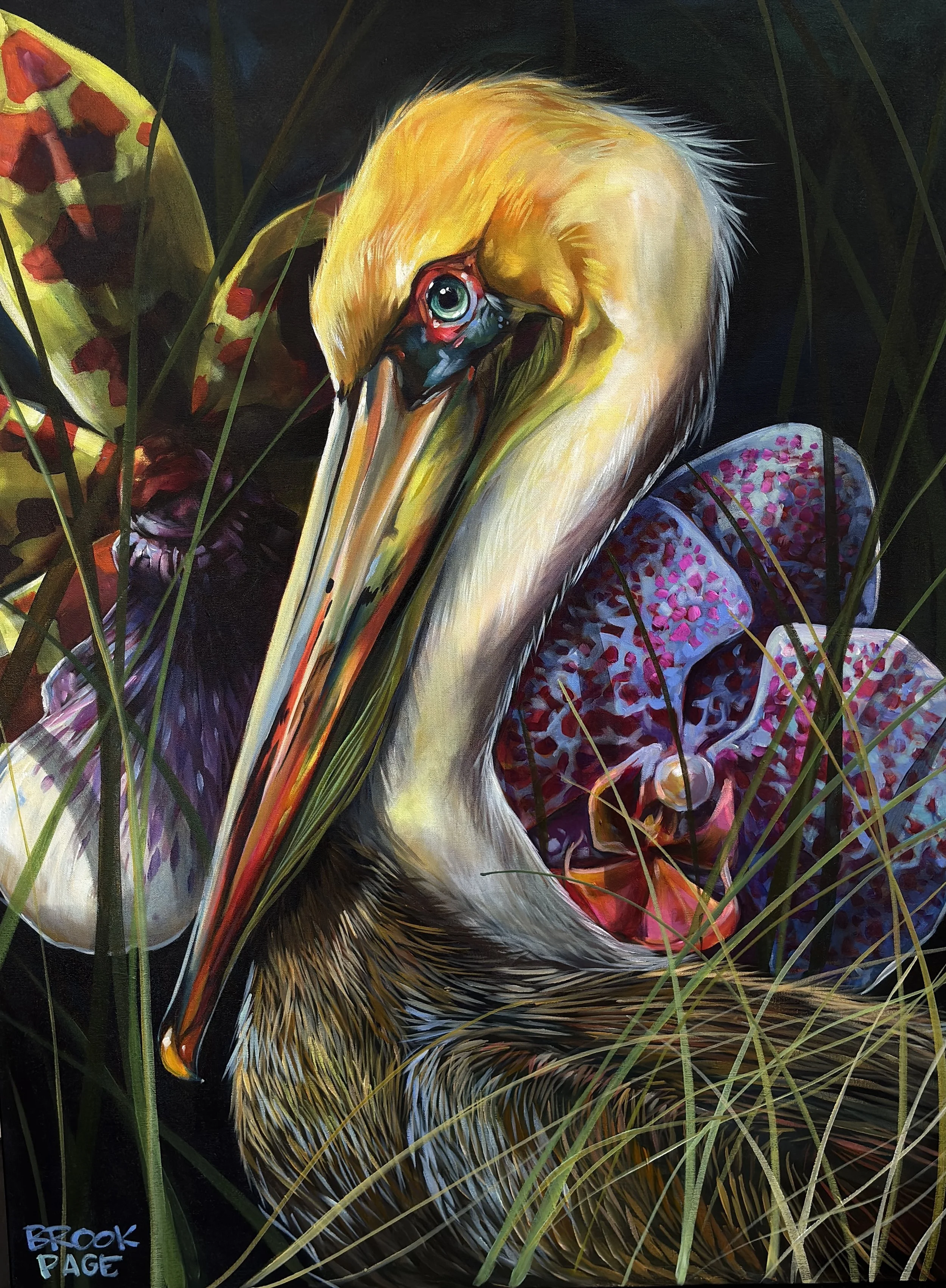 Pelican and Orchids - Fine Art Print