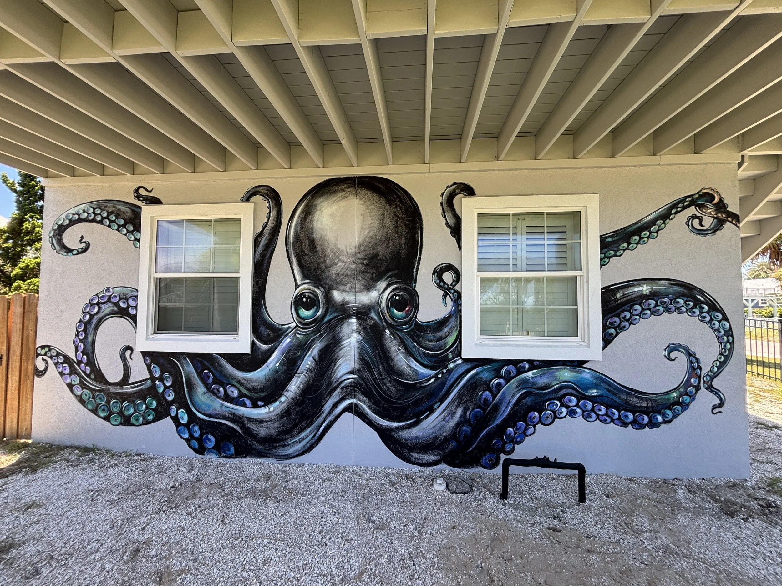 The Octopus House, Butler Beach