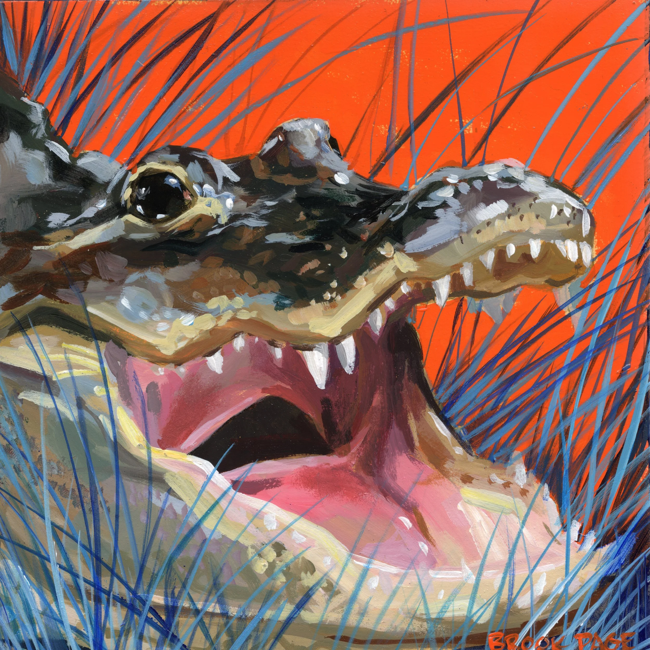 Gator on Orange - Fine Art Print