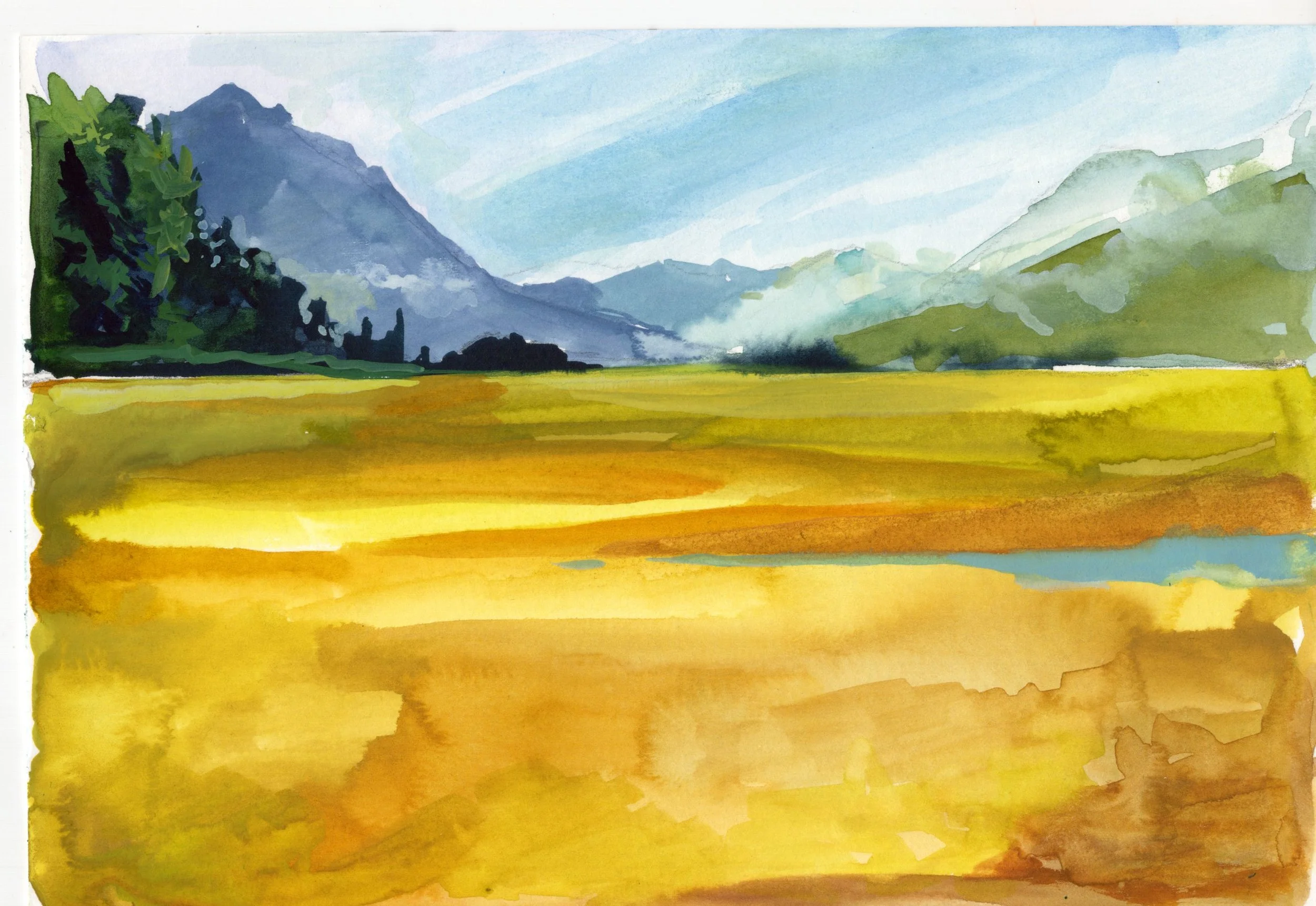 Seaweed Field Alaska - Fine Art Print