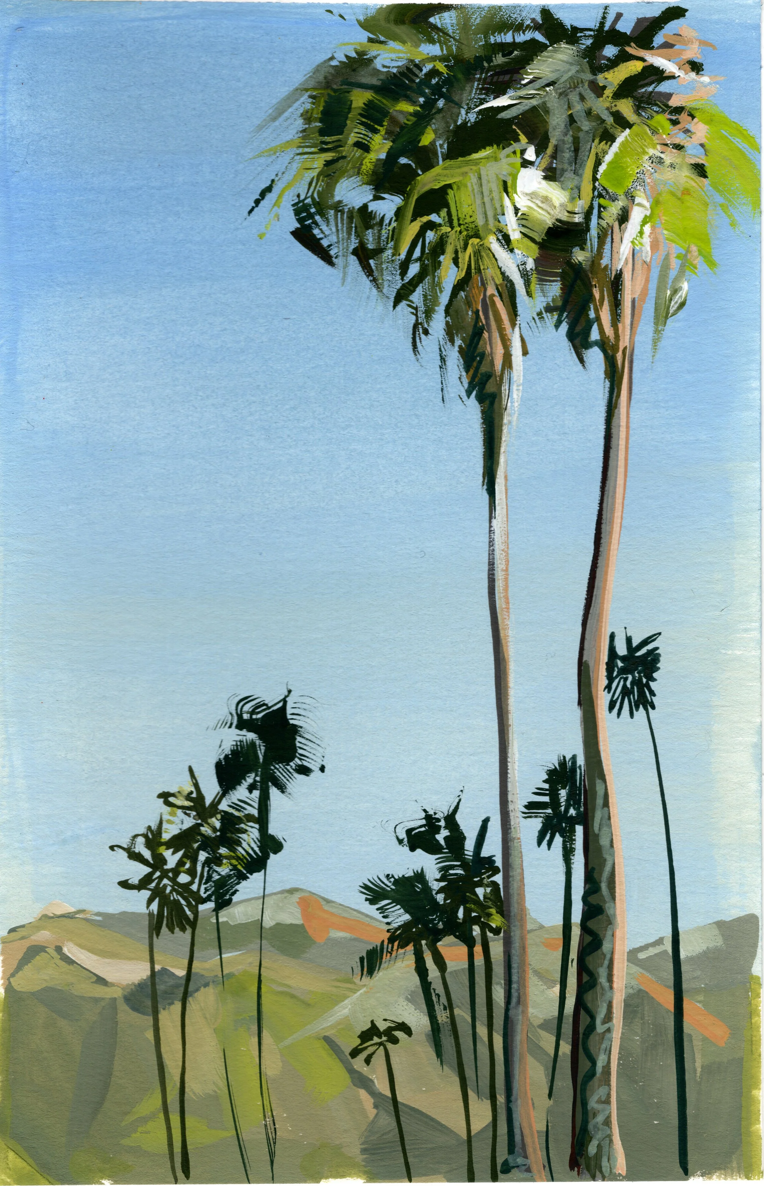 LA Palms - Fine Art Print