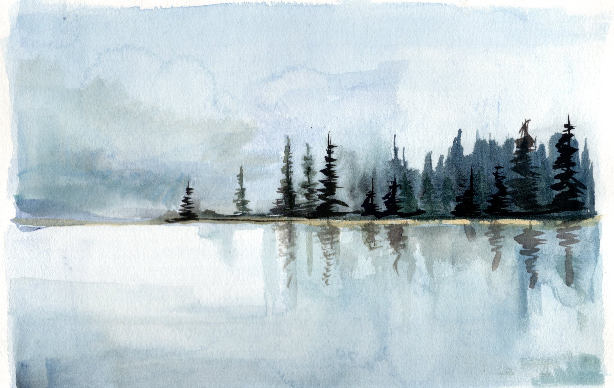 Tree Reflection - Fine Art Print