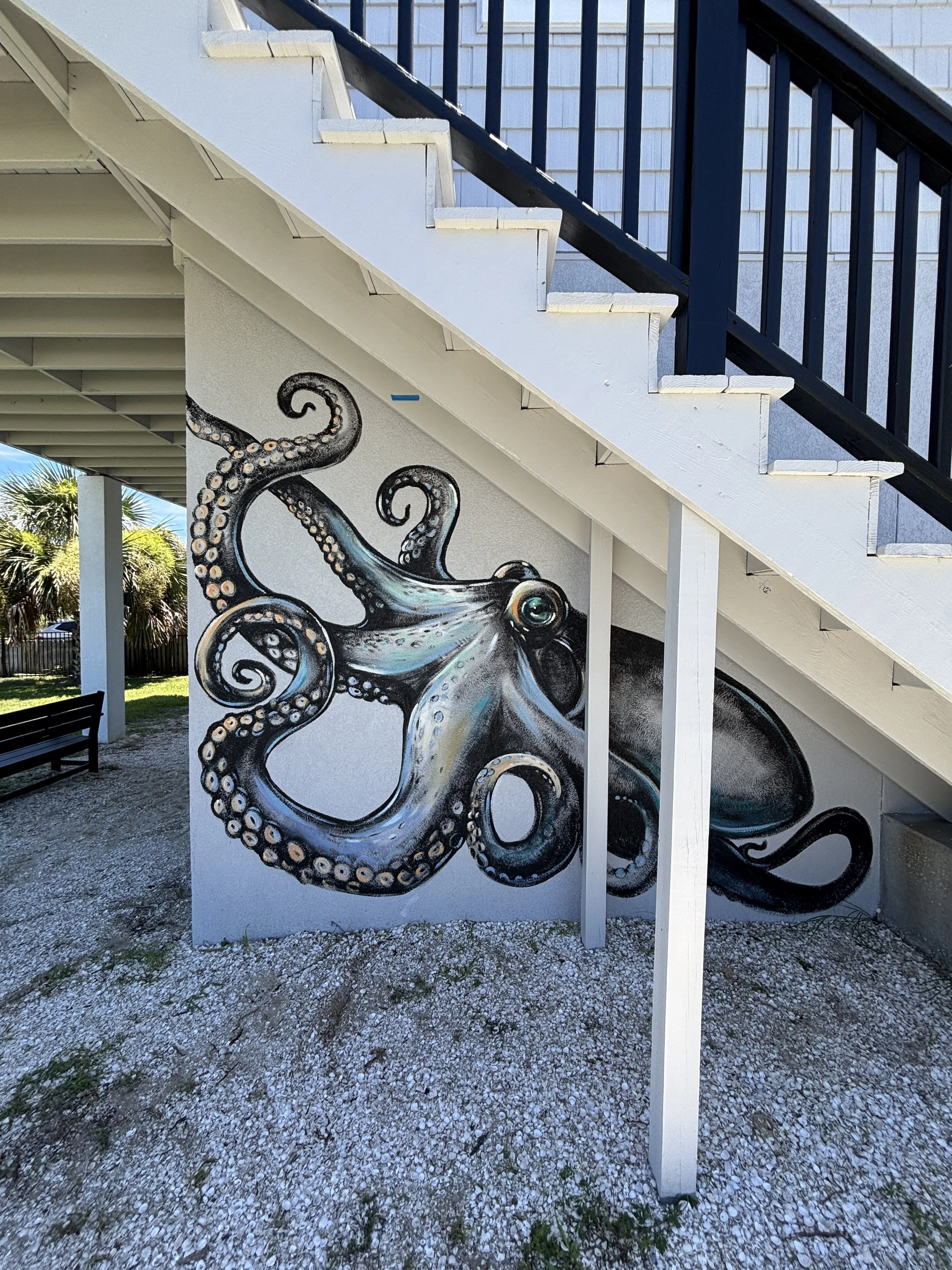 The Octopus House, Butler Beach