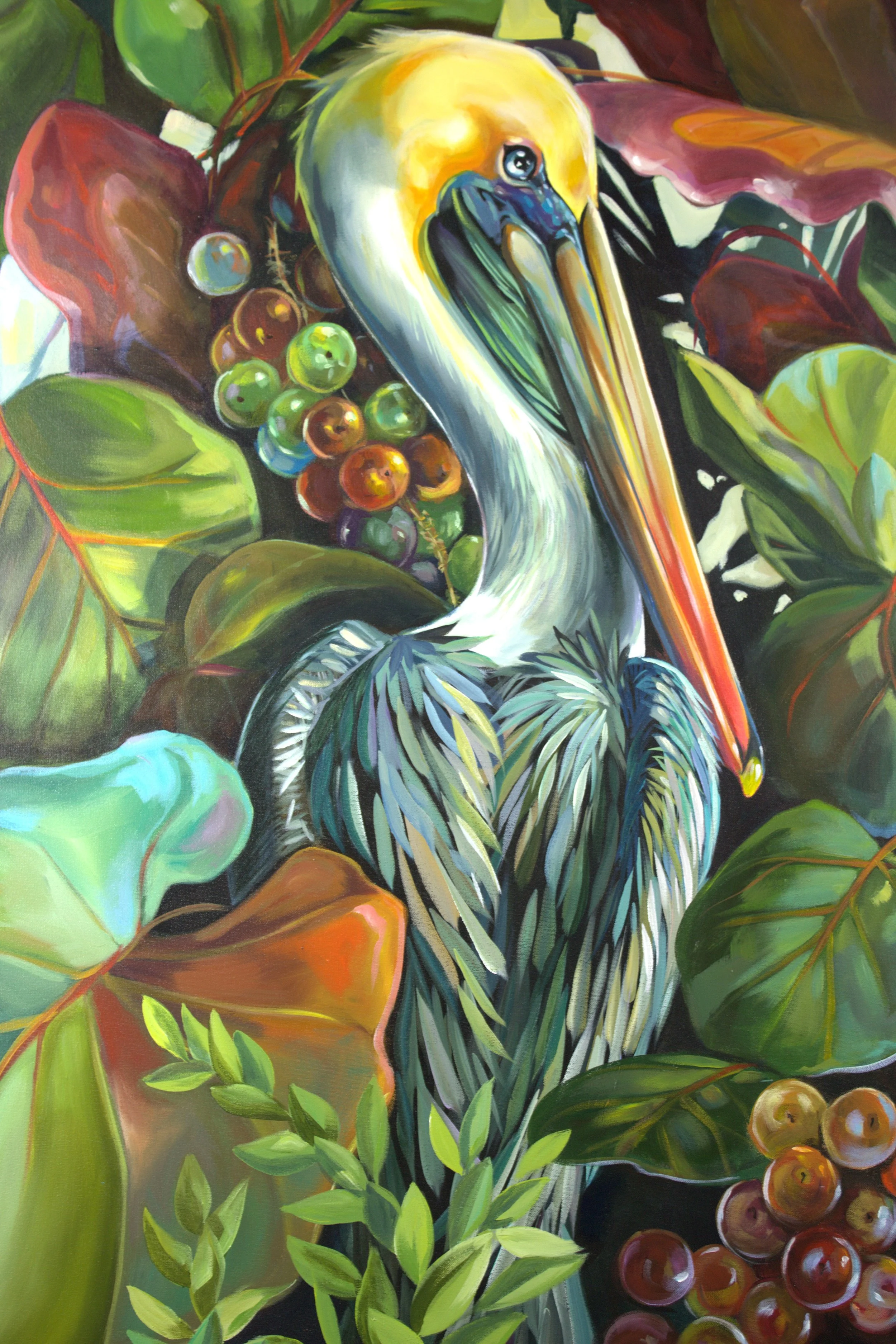 Pelican and Seagrapes