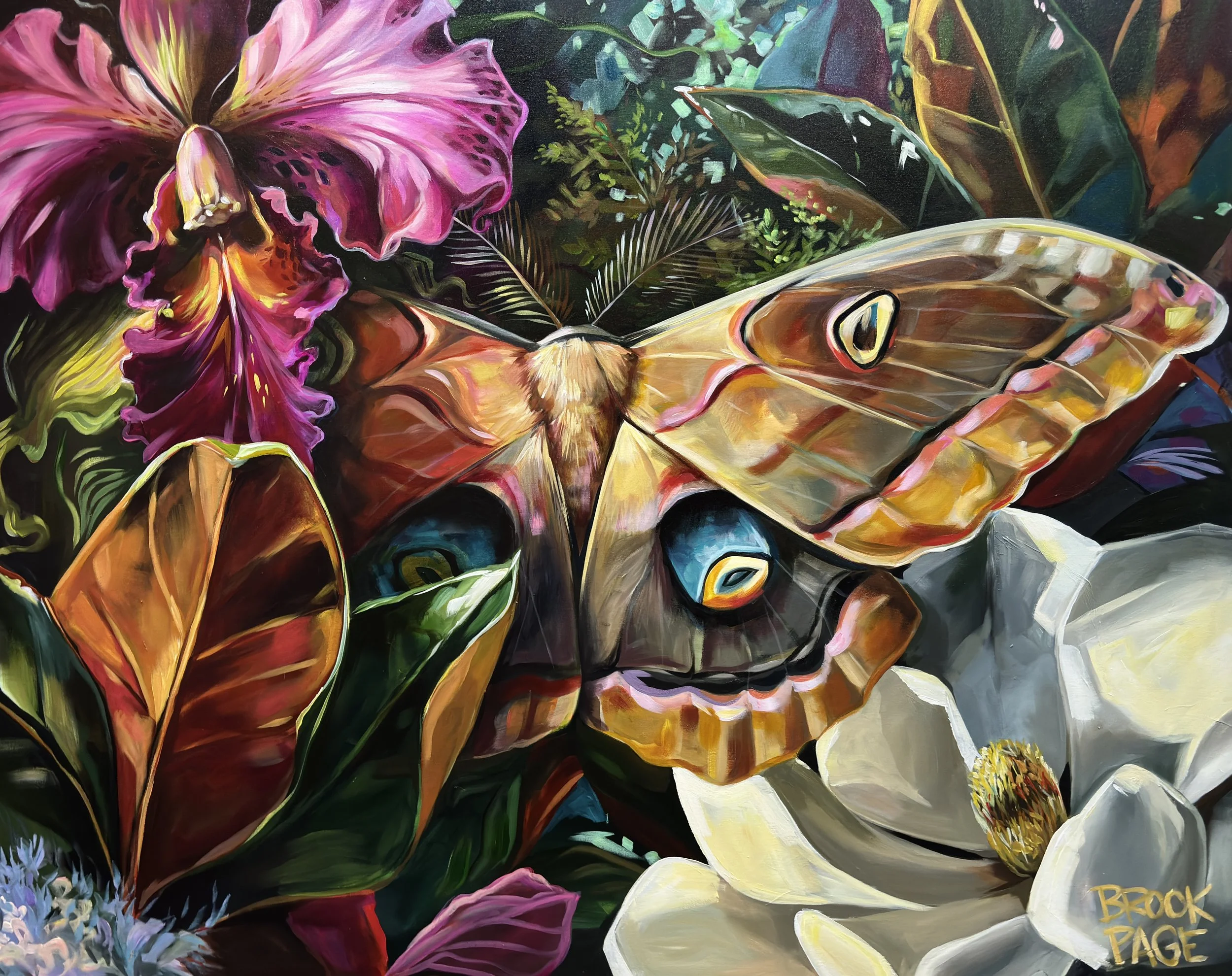 Polyphemus - Fine Art Print