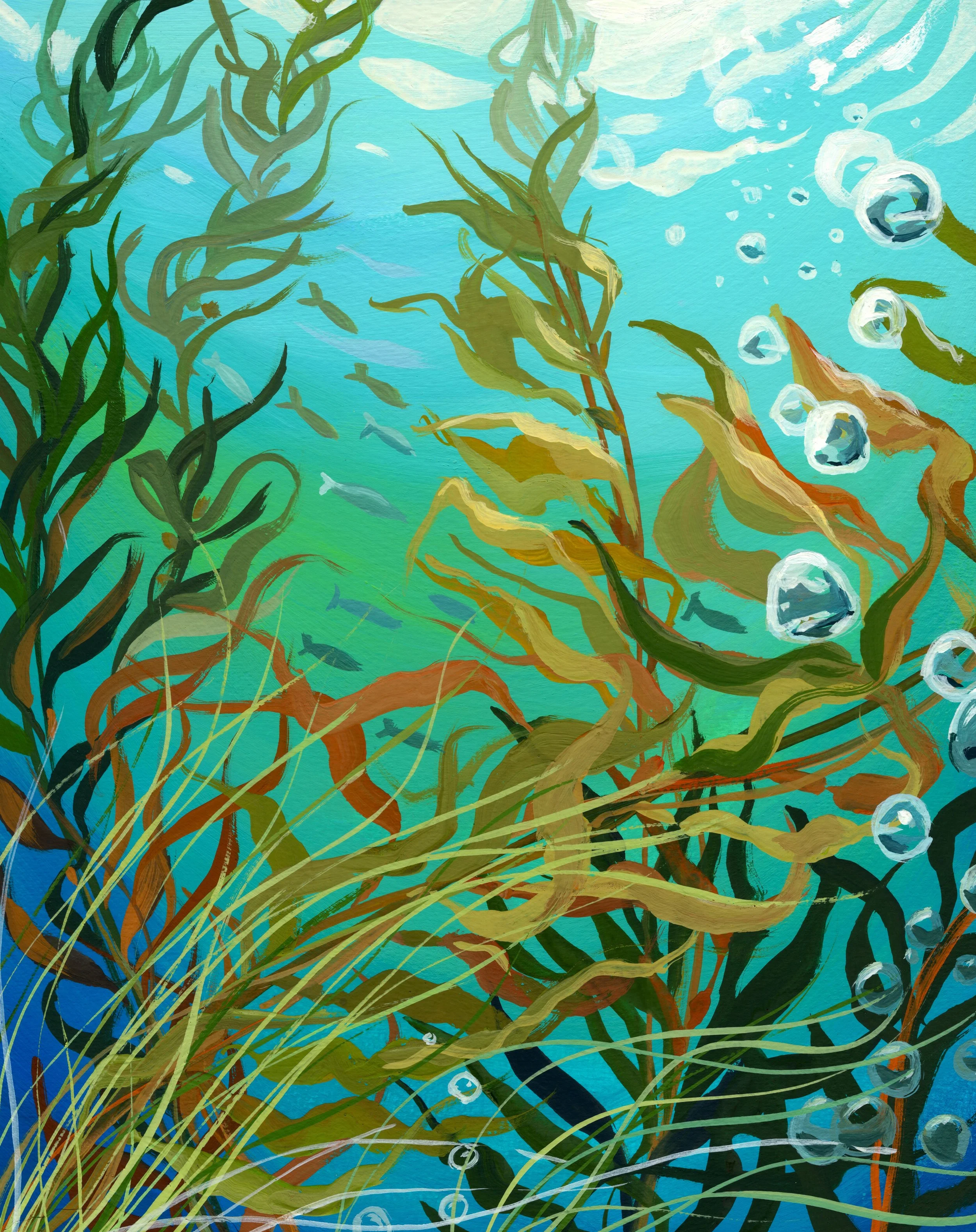 Kelp and Bubbles