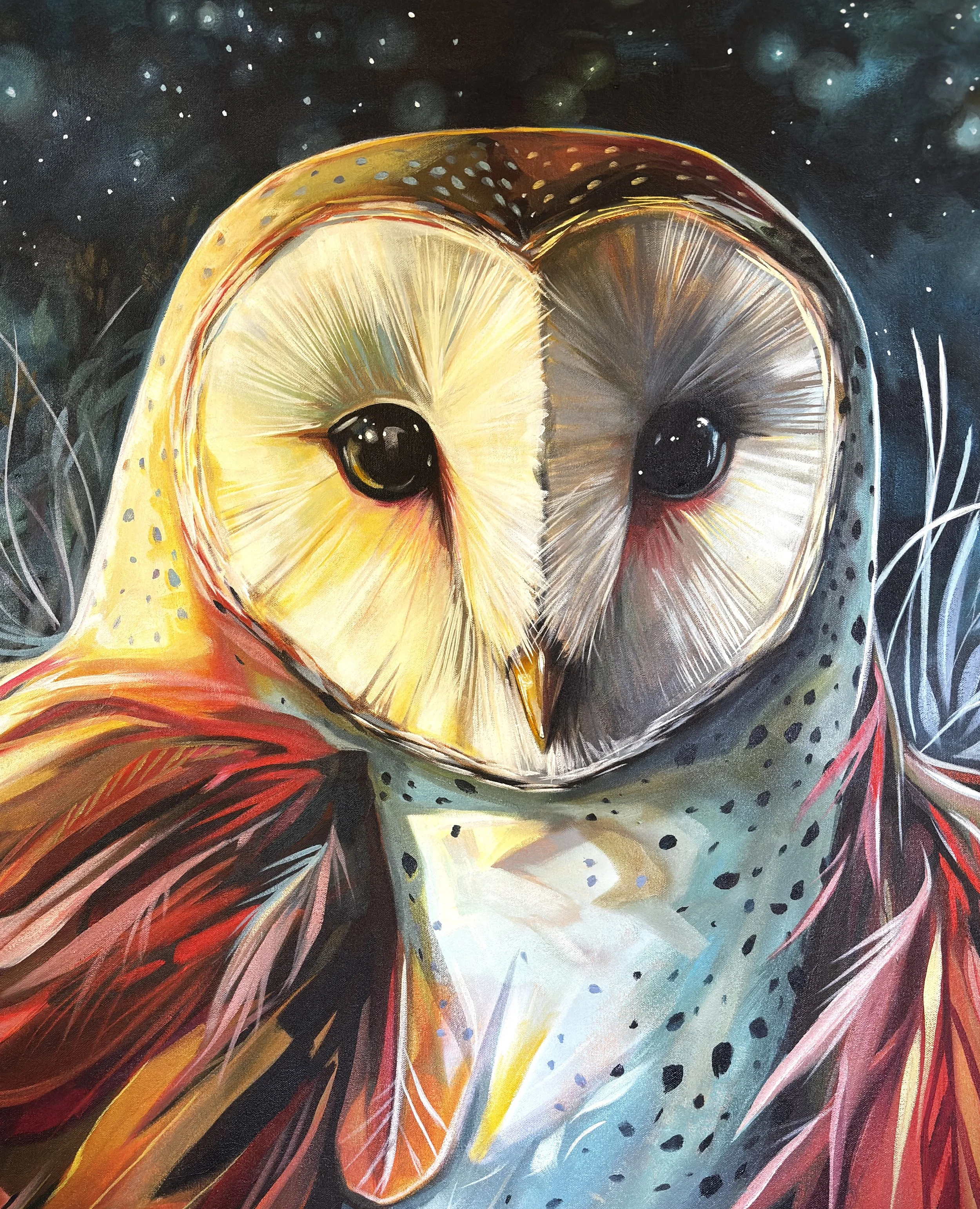 Barn Owl - Fine Art Print