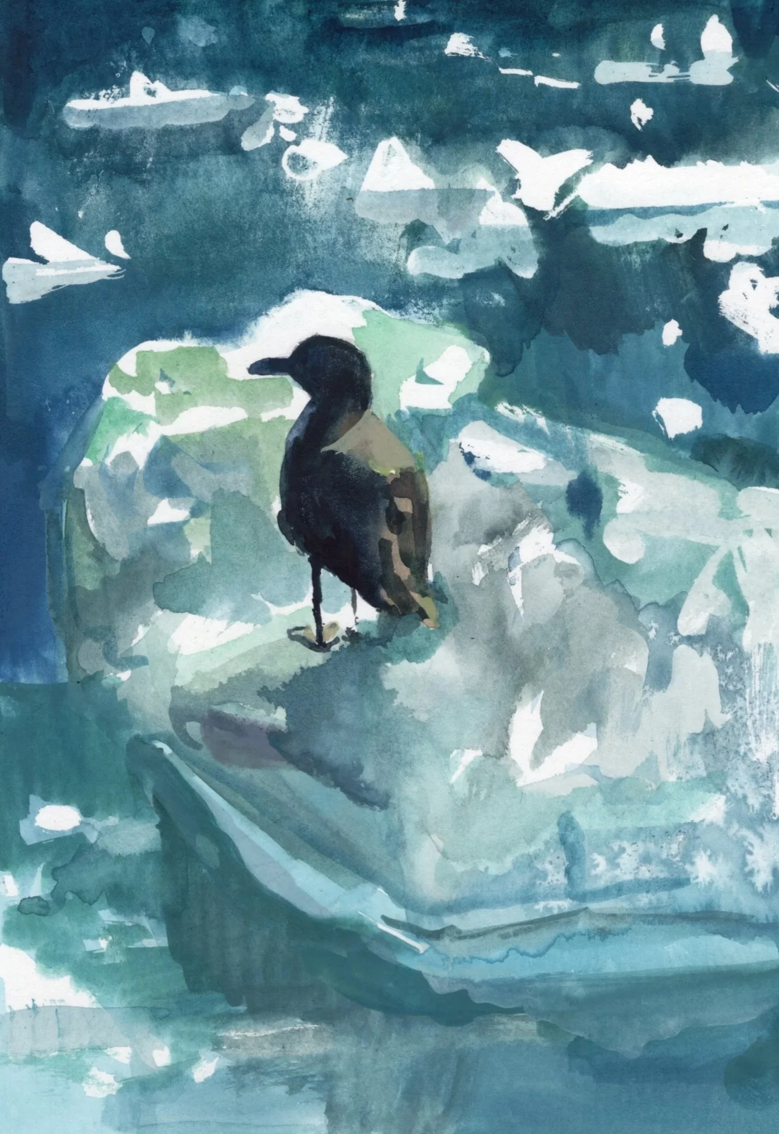 Alaska_Iceberg_seagull20260913.jpg