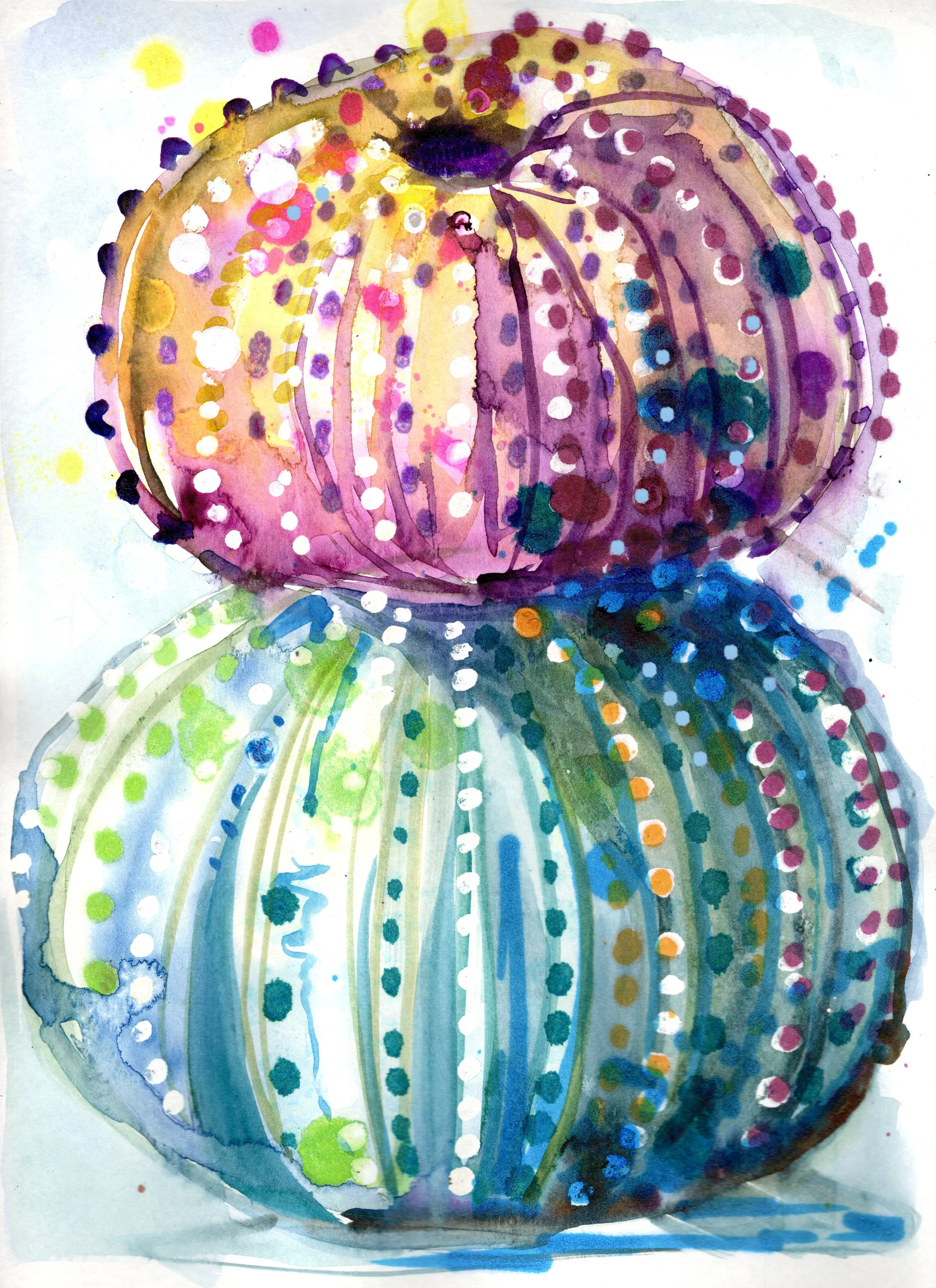 Sea Urchins- Fine Art Print