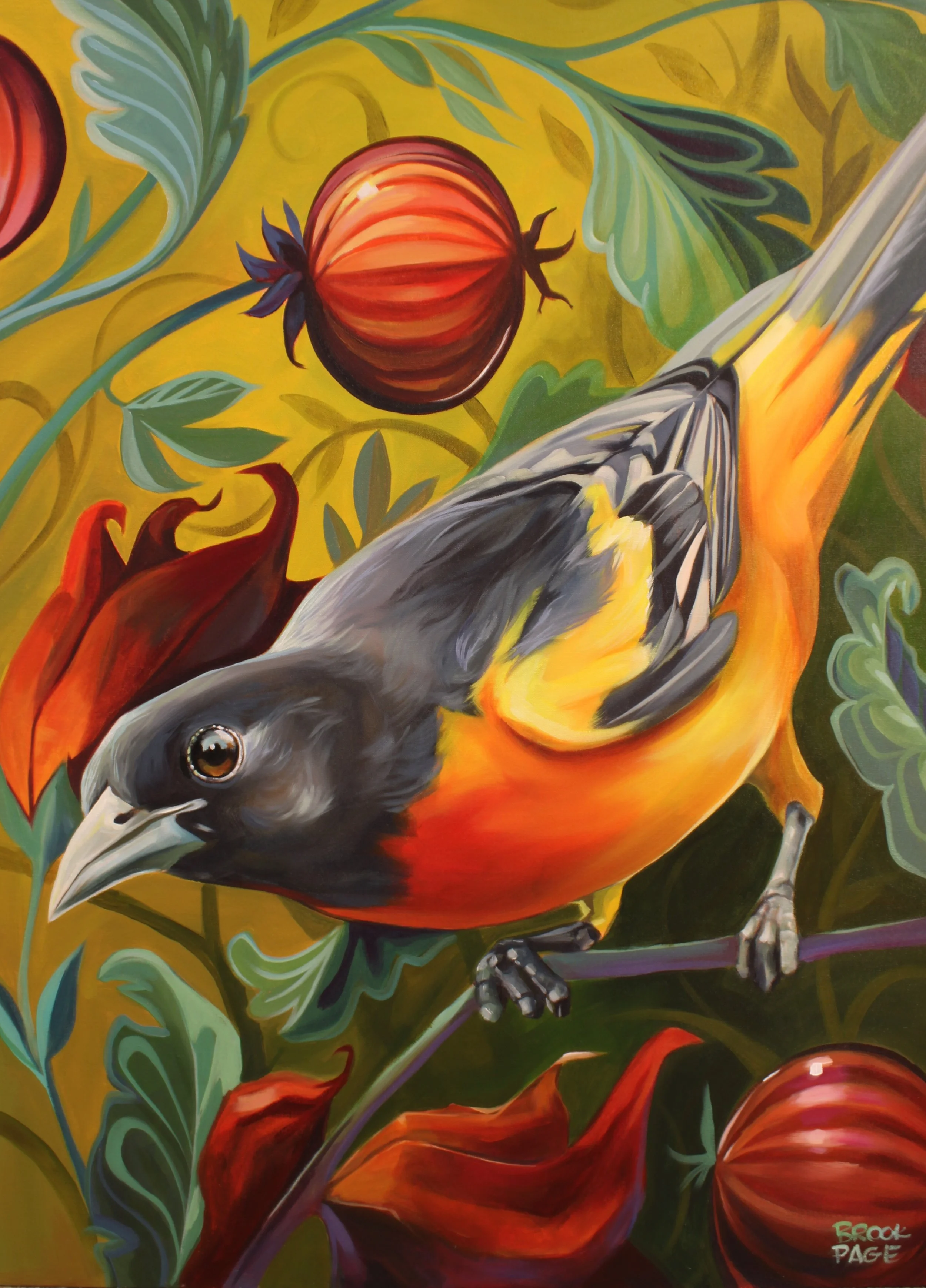 Baltimore Oriole - 34x44" acrylic on canvas, 2025. 