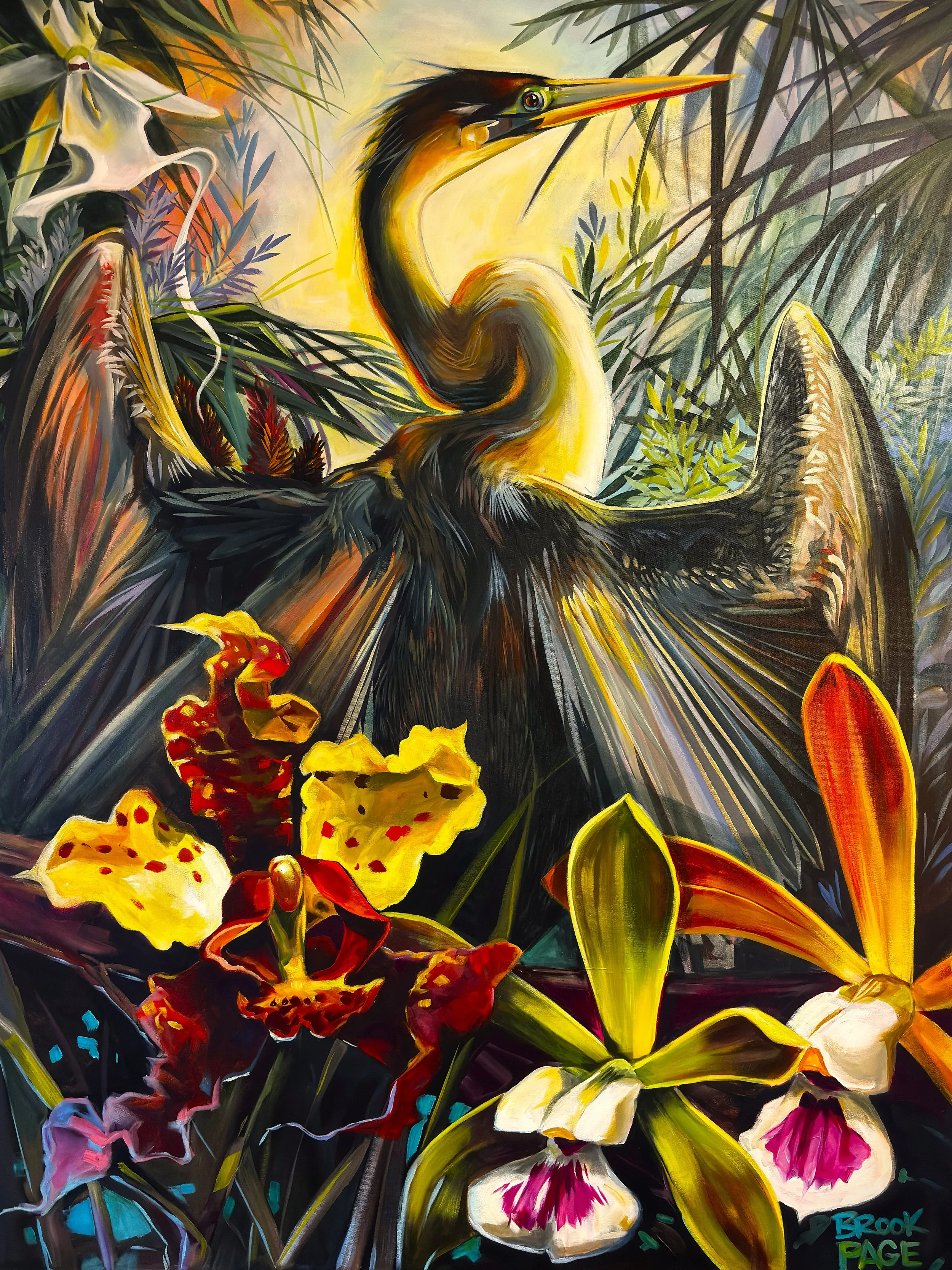 Orchid Anhinga - Fine Art Print