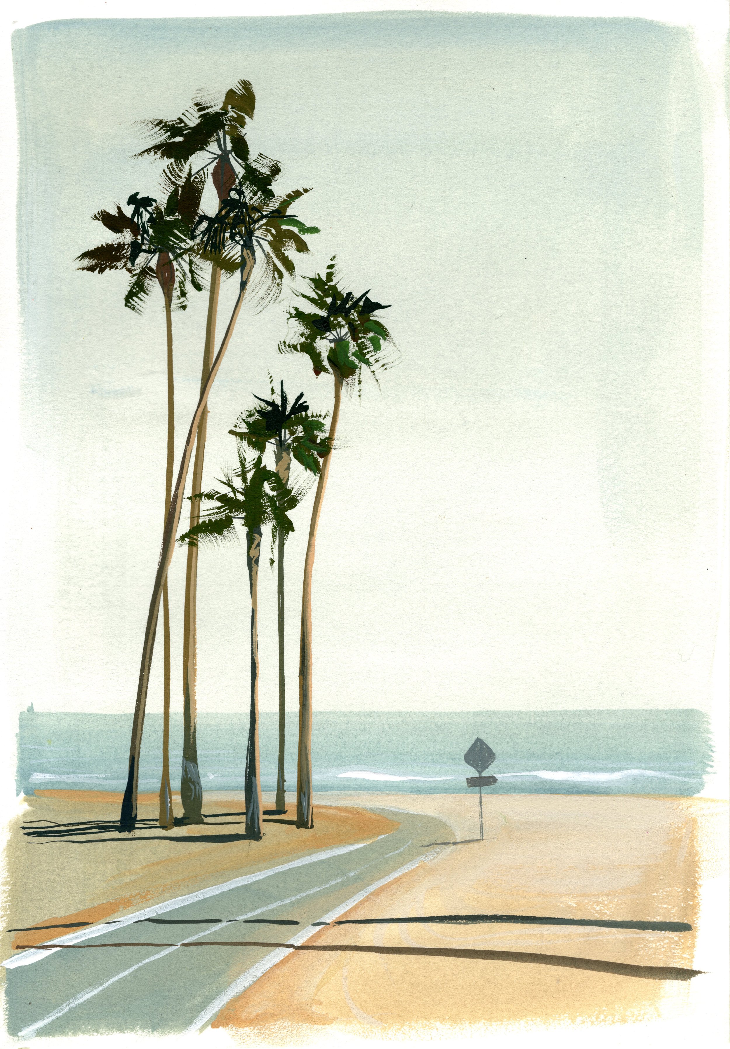 Six Palms - Fine Art Print