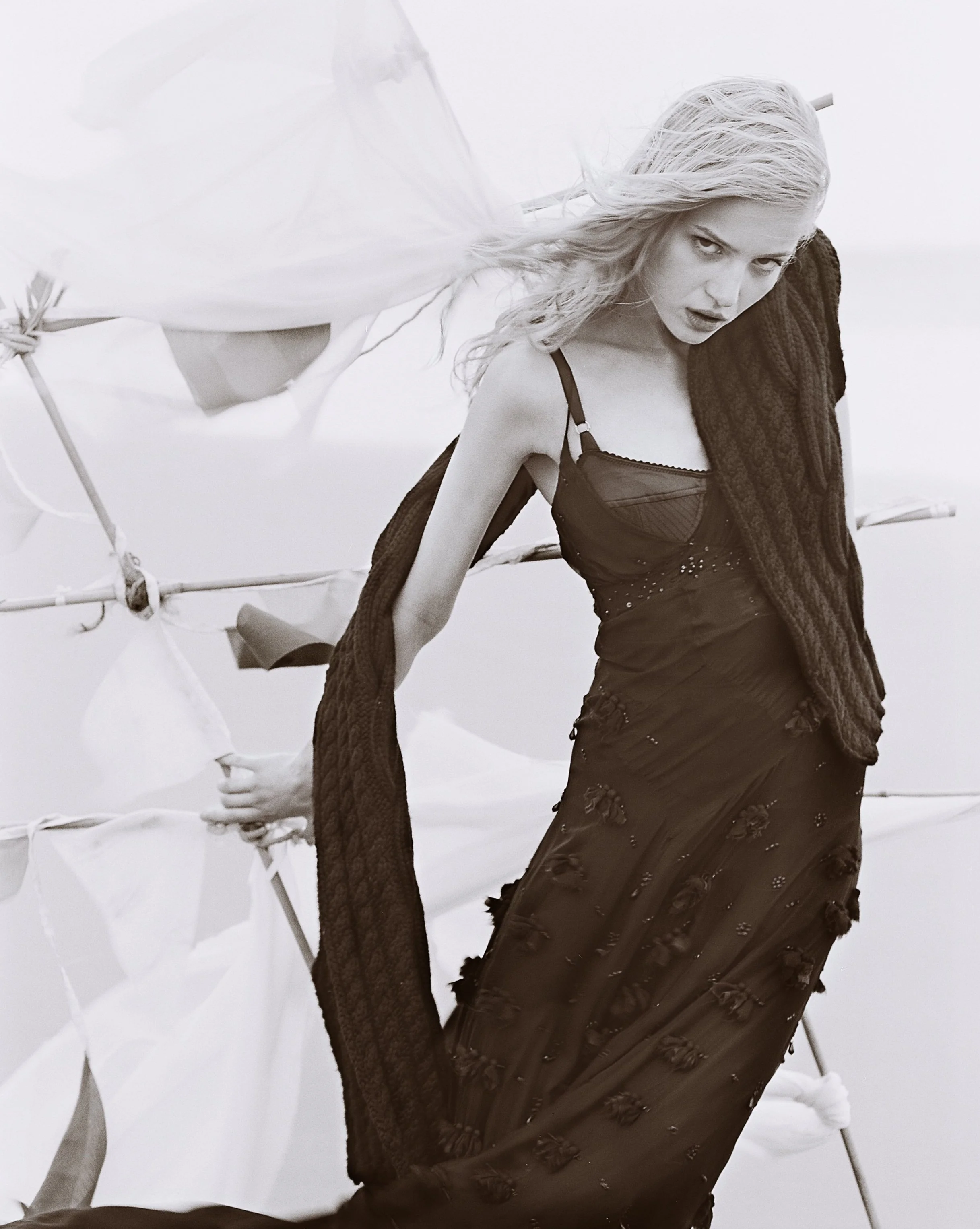 6560_49%2Bwinter%2Bchiffon.jpg