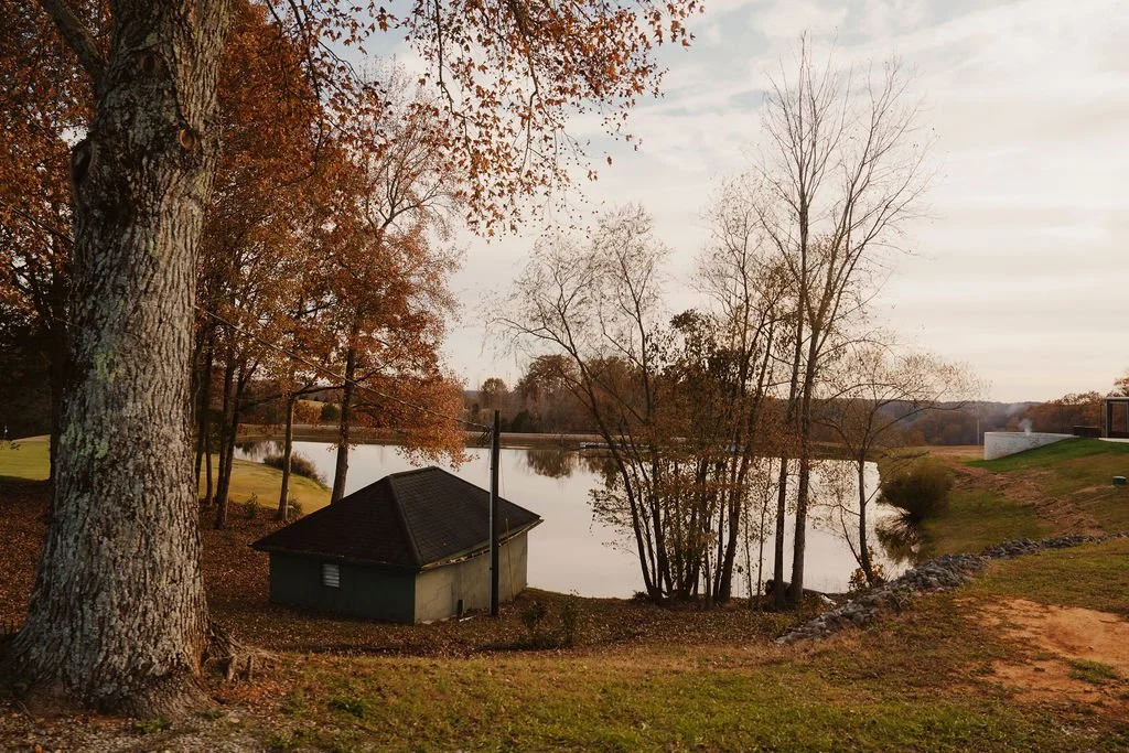 A peaceful lakeside scene in autumn, with a large tree in the foreground, leafless trees near the water, and a calm lake reflecting the sky, surrounded by grassy areas and a small building with a sloped dark roof.