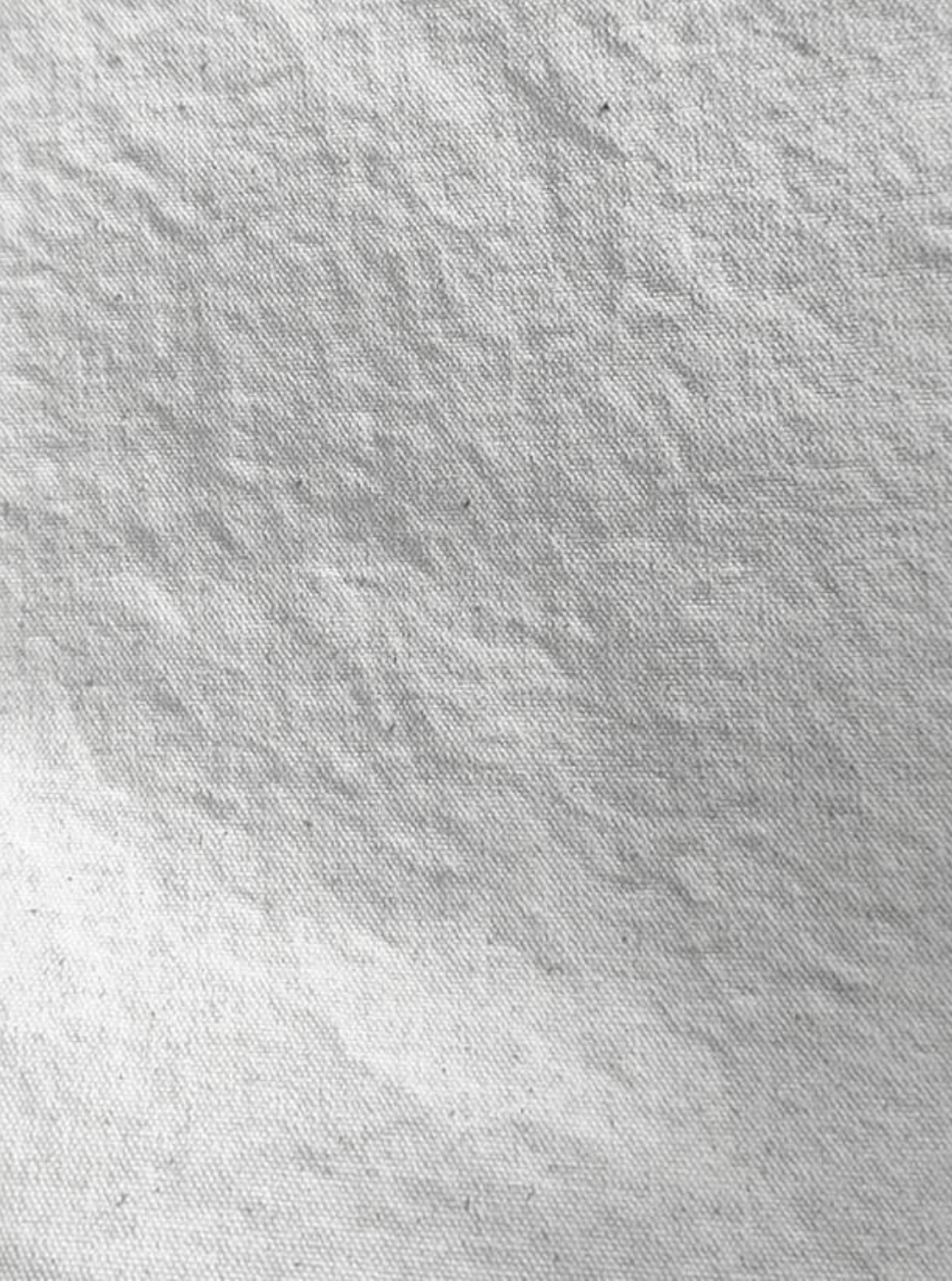 s3006