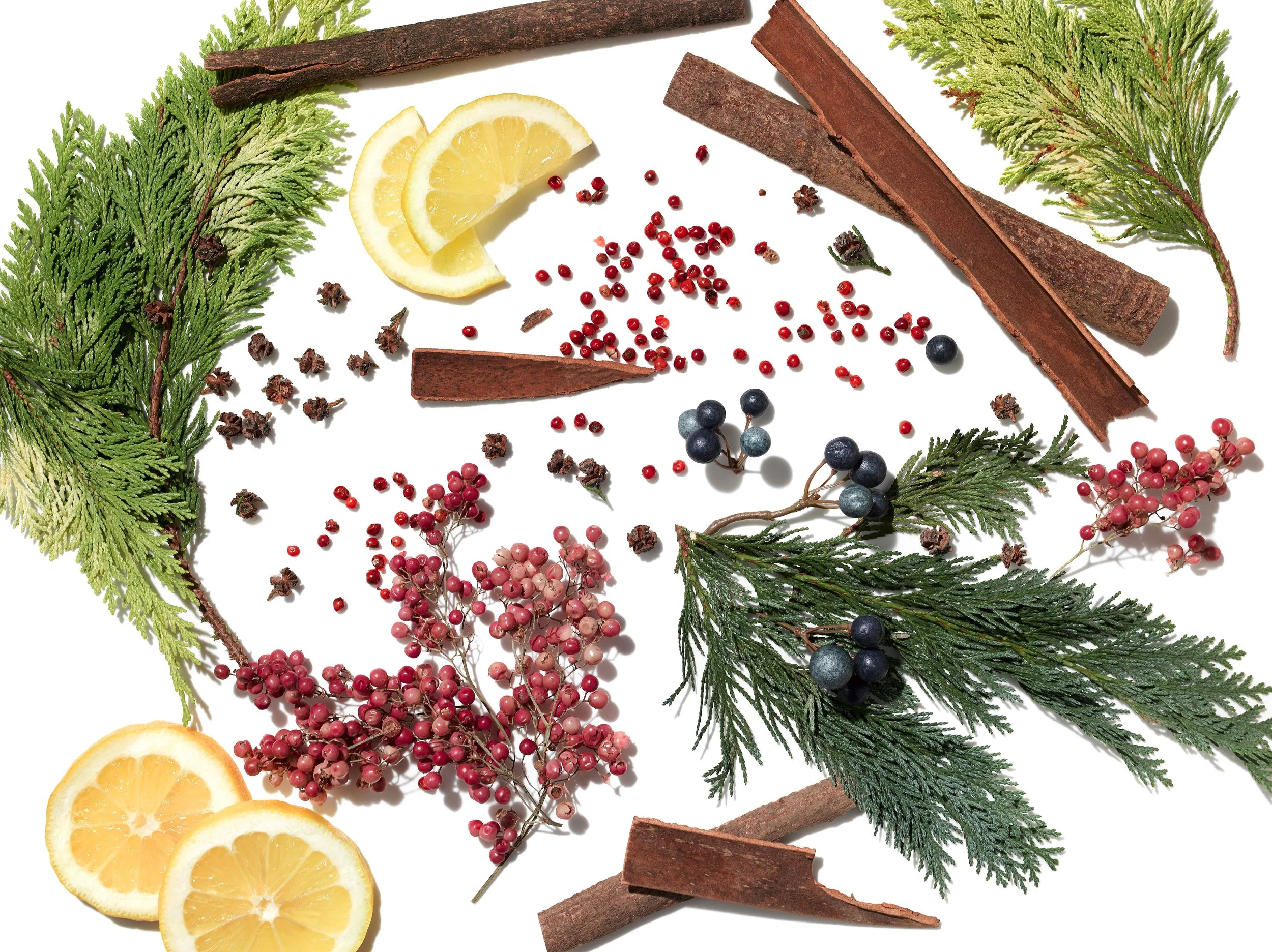 ForestTherapy_Ingredients-2.jpg