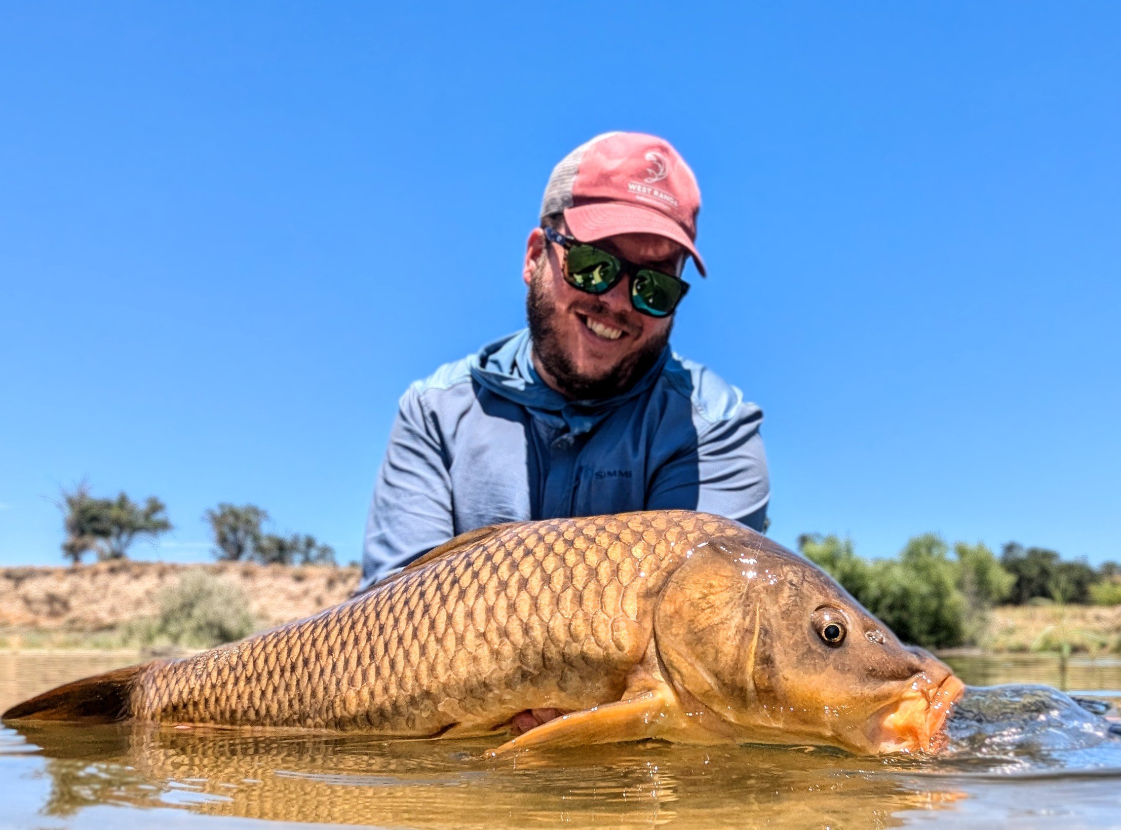 Combat Carp Hate with Burritos