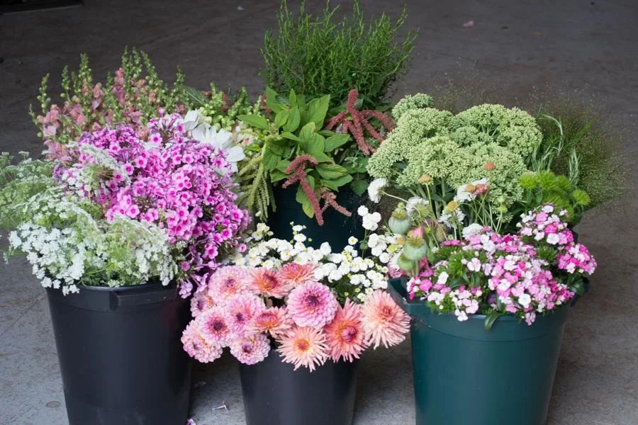 International Women’s Day Workshop