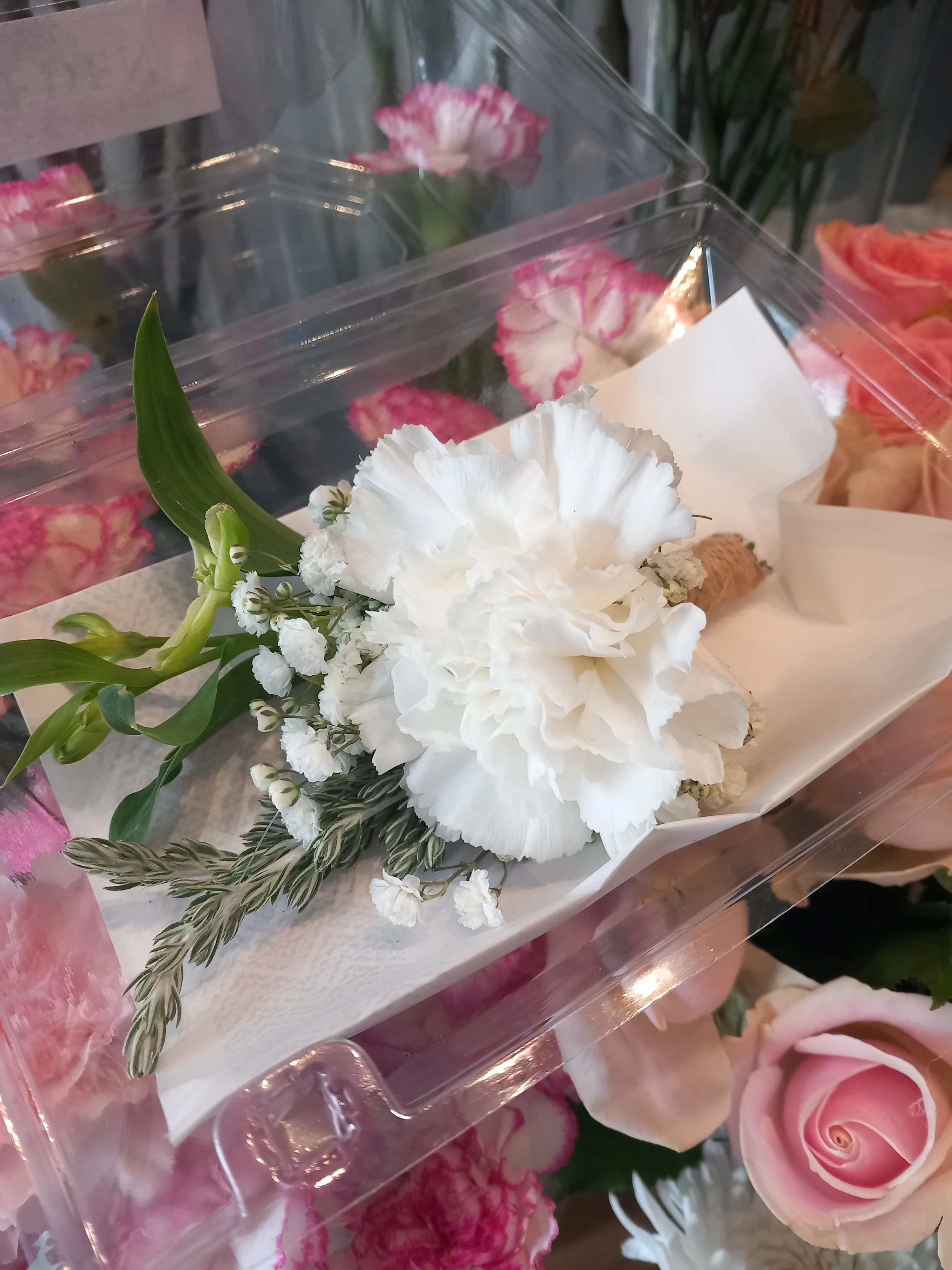 carnation buttonhole.jpg