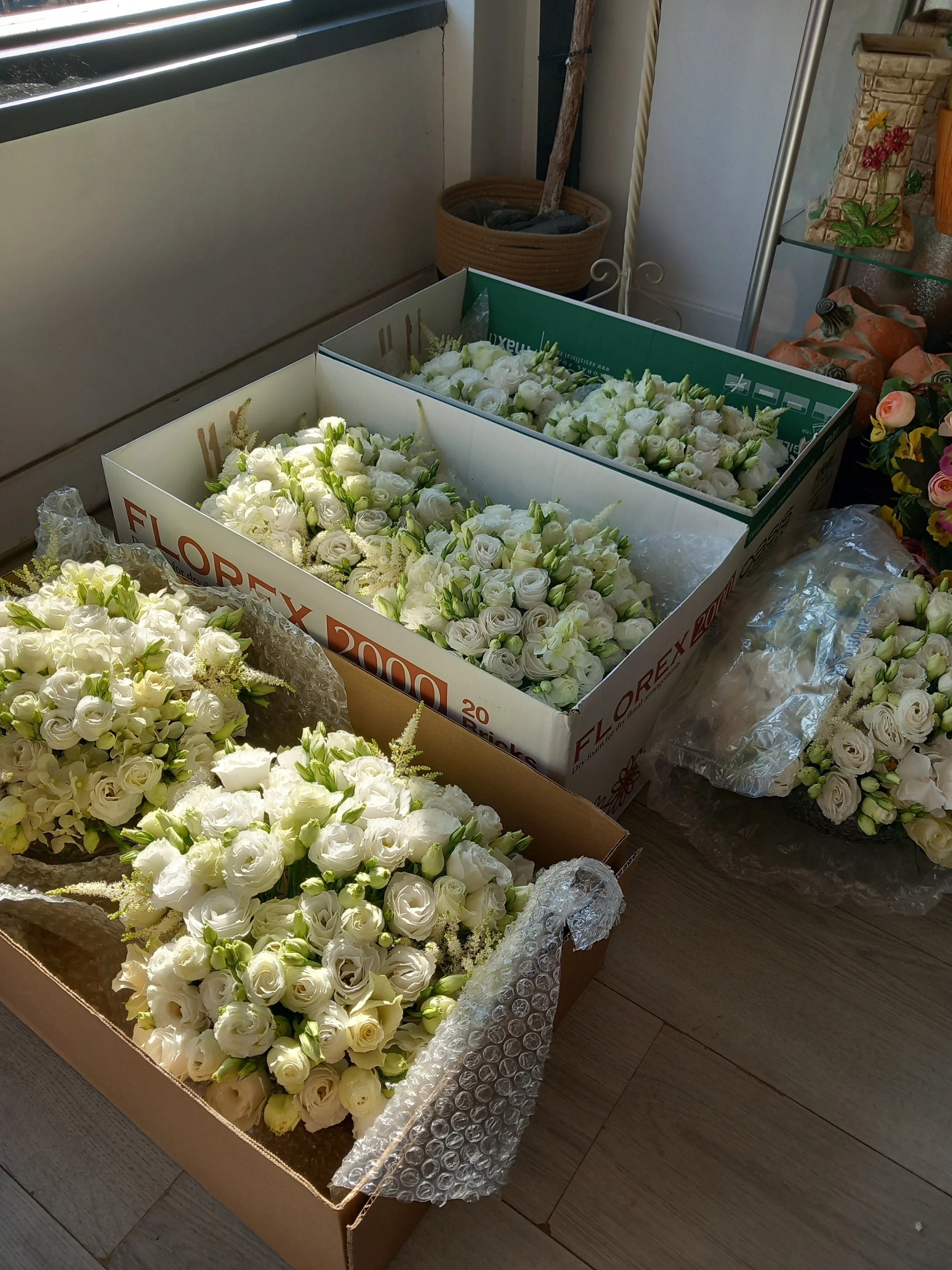 Boxes of white roses and other white flowers on a wooden floor near a window, with some wrapped in bubble wrap and plastic.