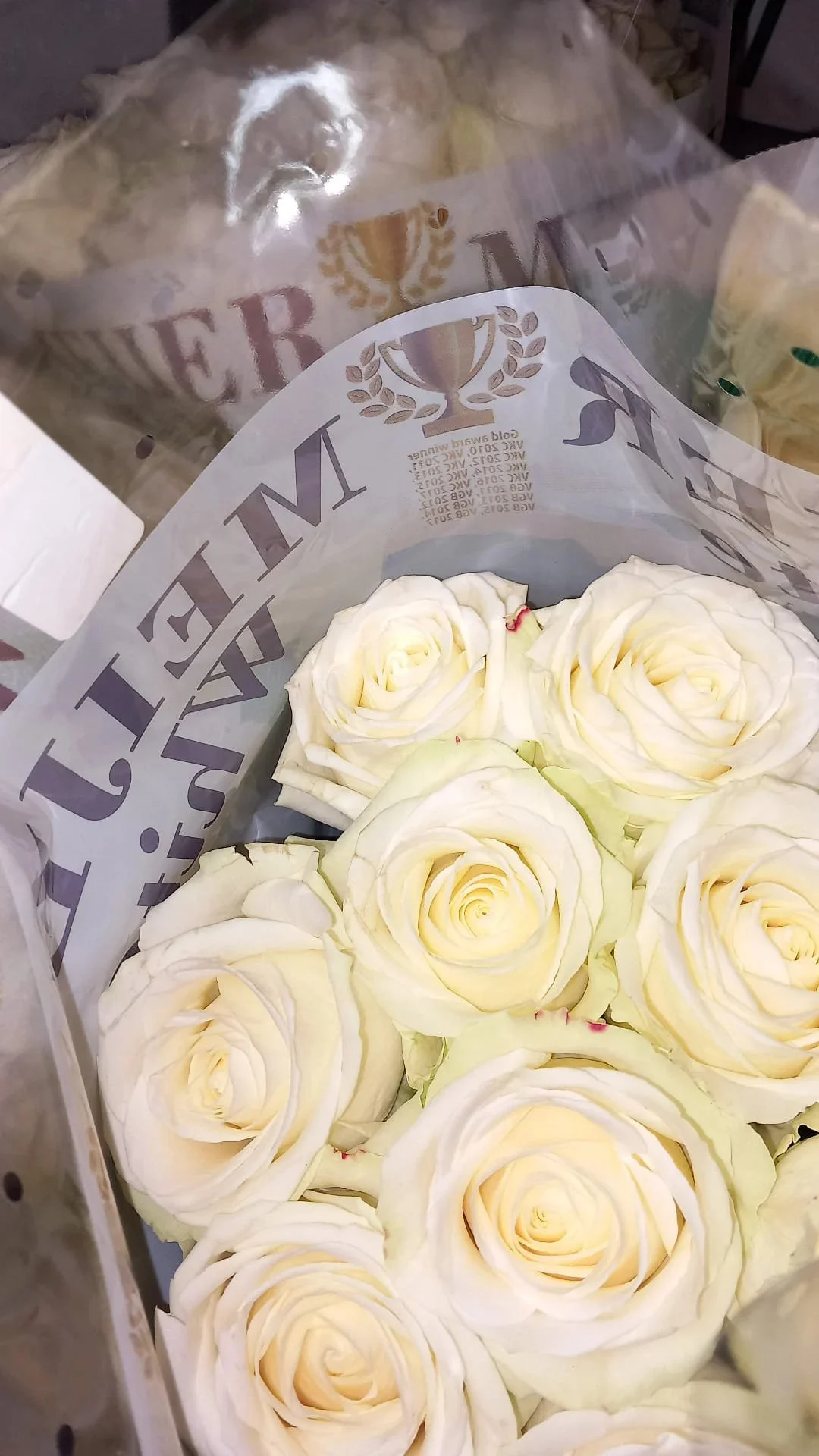 white avalanche wedding roses