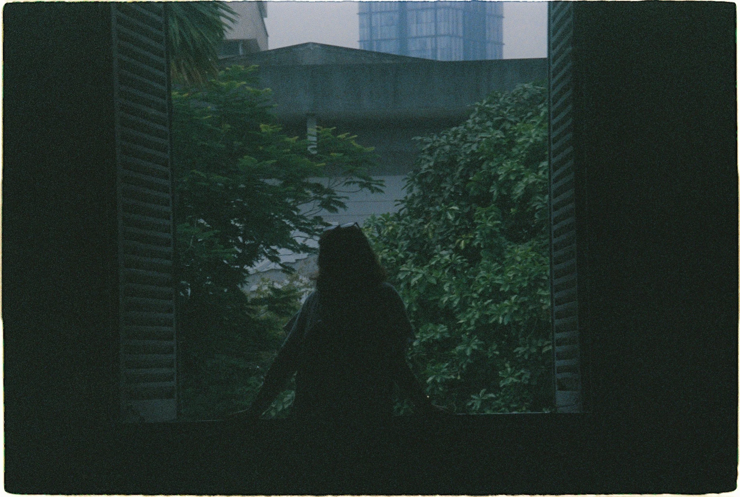 A single, quiet, solitary image — someone looking out a window with muted lighting