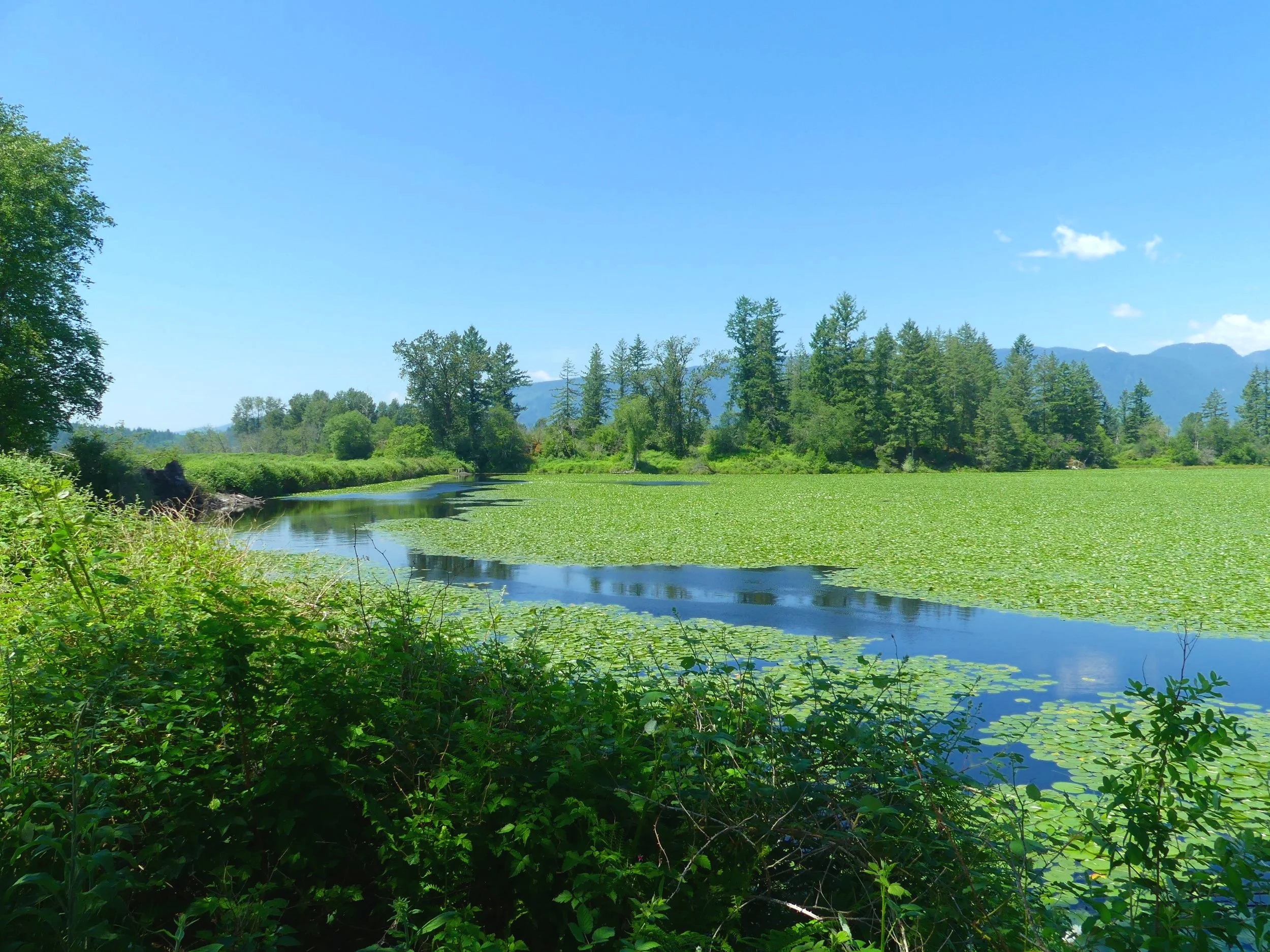 Canoe Rentals by Xwum LP