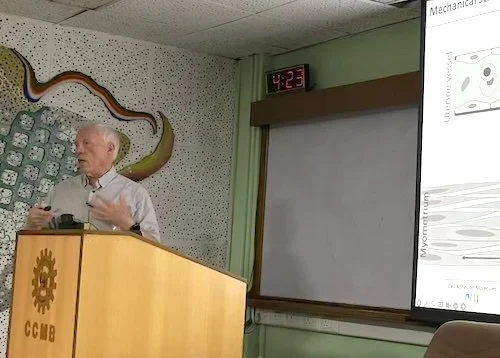 Dr Stephen Lye.jpg
