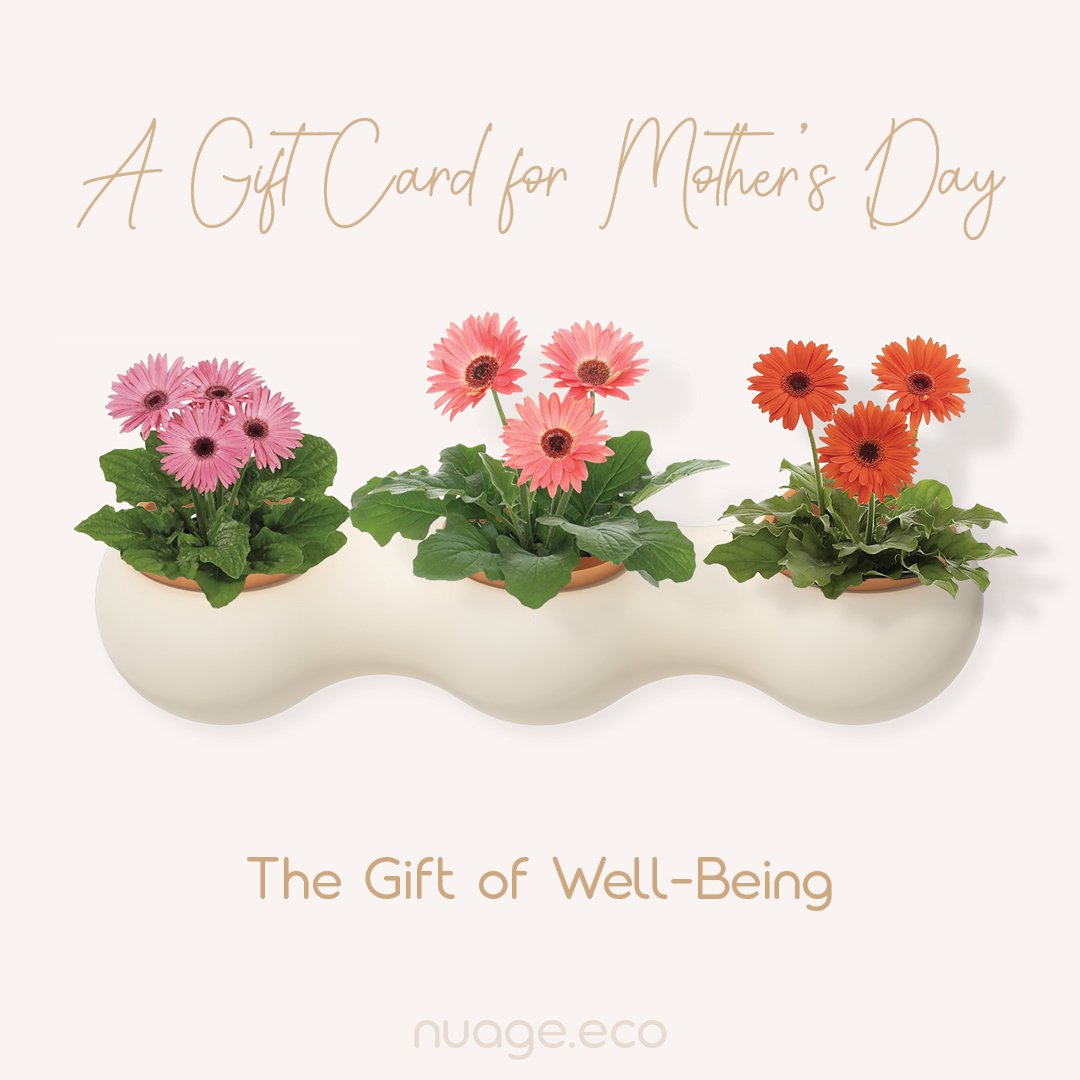 Mother's Day Gift Card.jpg