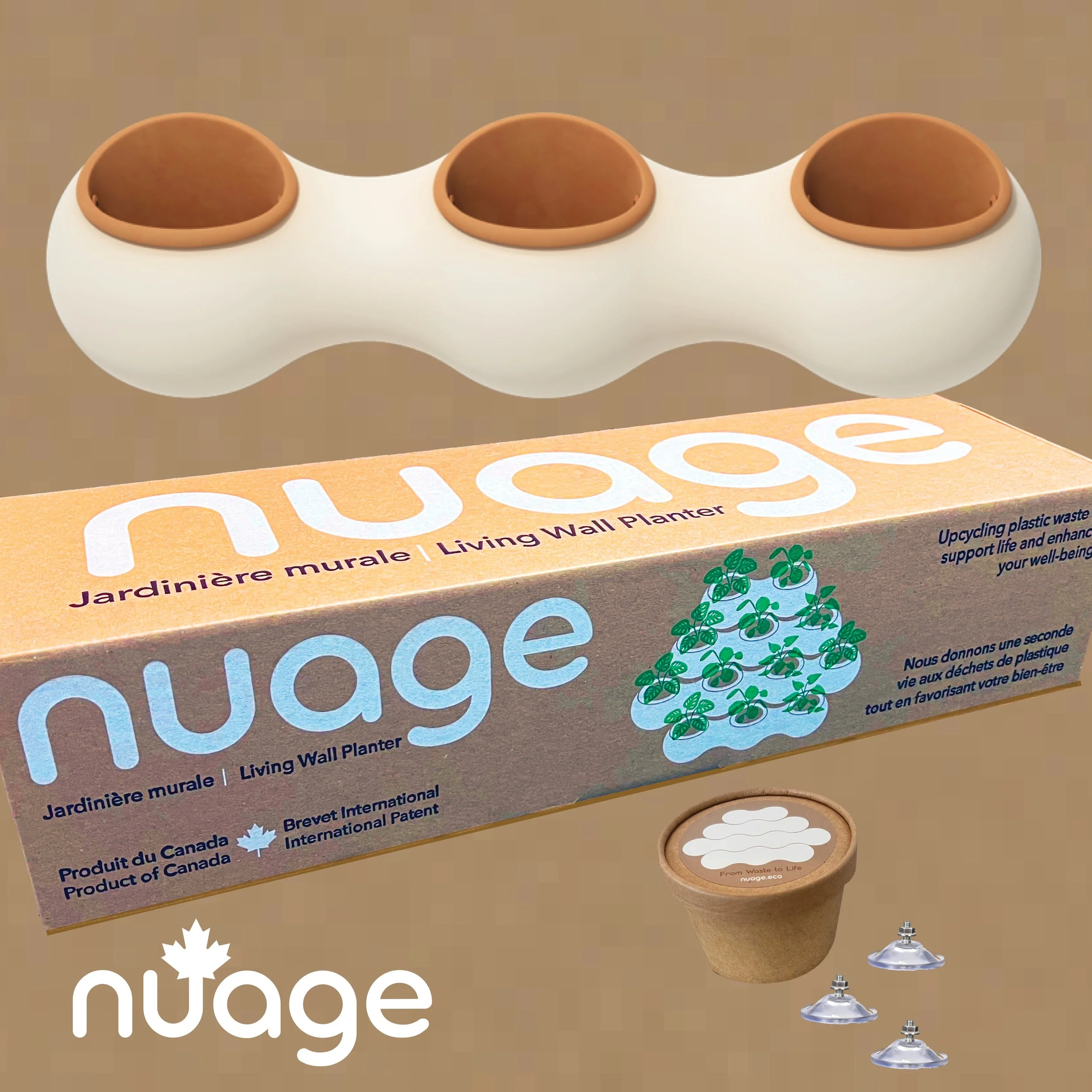 Window & Tile Bundle — White Cloud/Terra