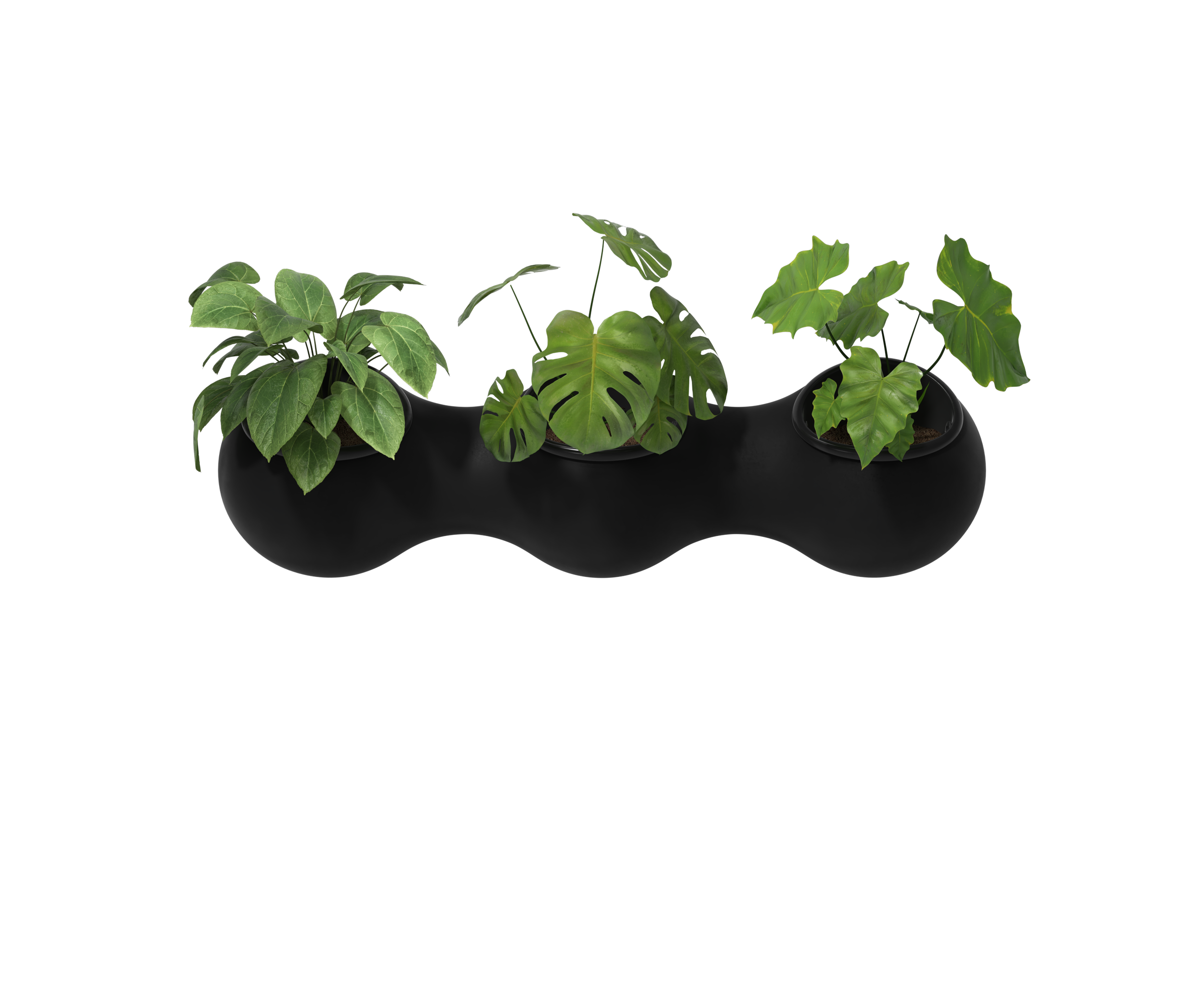 Nuage - black & black pots - 03 - plants.png