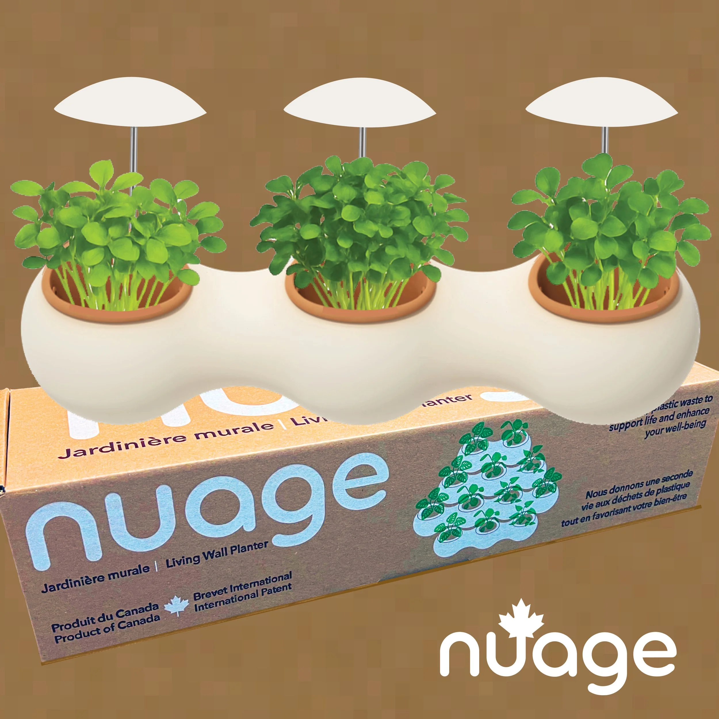 NUAGE HGB-W.jpg