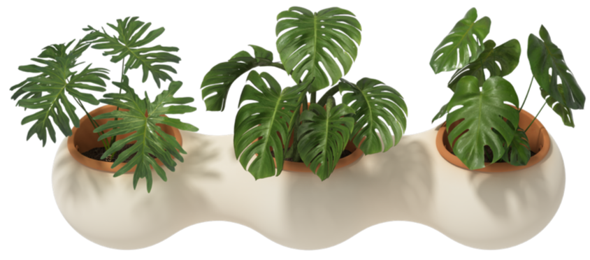 thumbnail_Nuage+-+white+&+terracotta+pots+-+03+-+plants.png