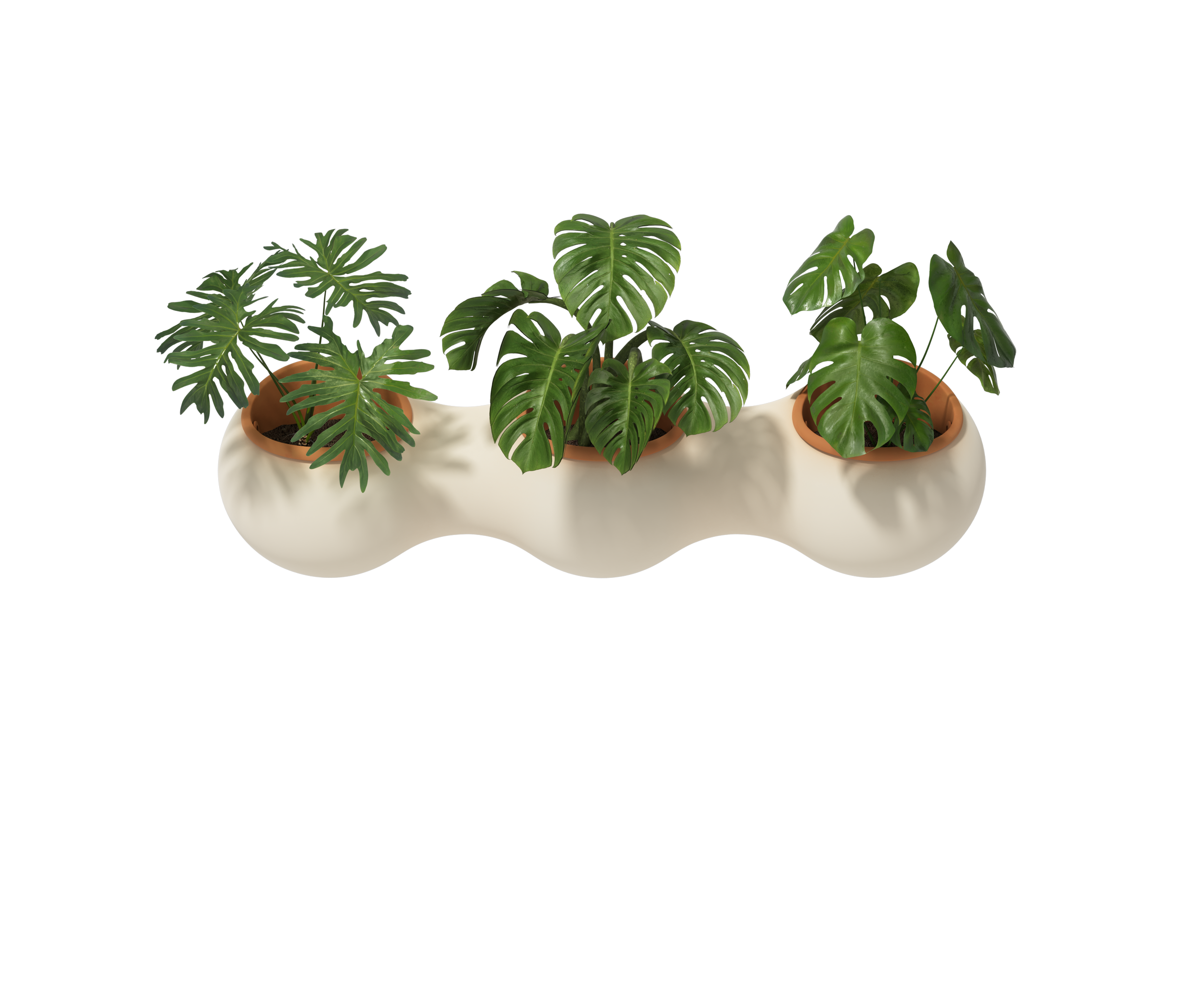 Nuage - white & terracotta pots - 03 - plants.png