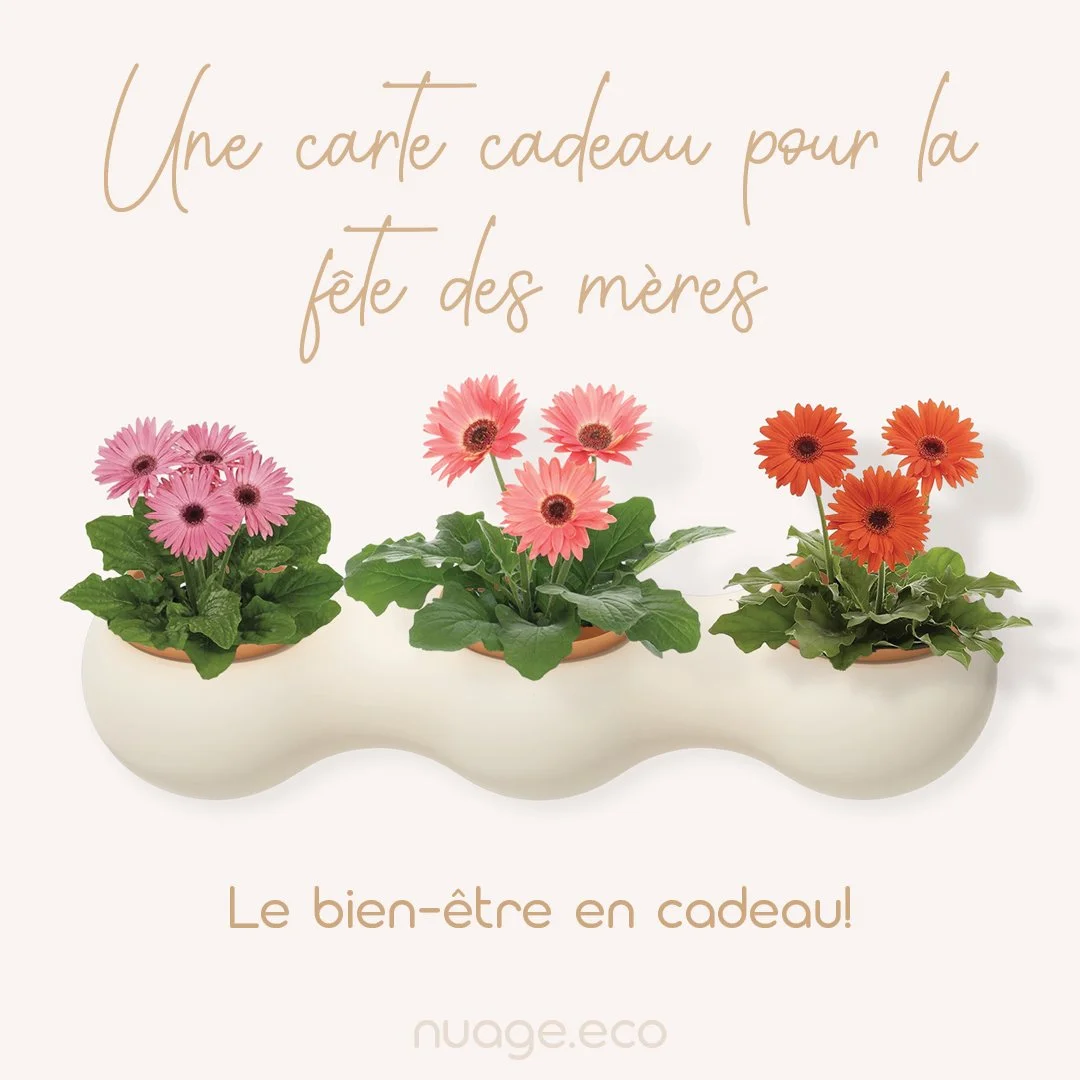 Carte Cadeau Fete des meres FR.jpg