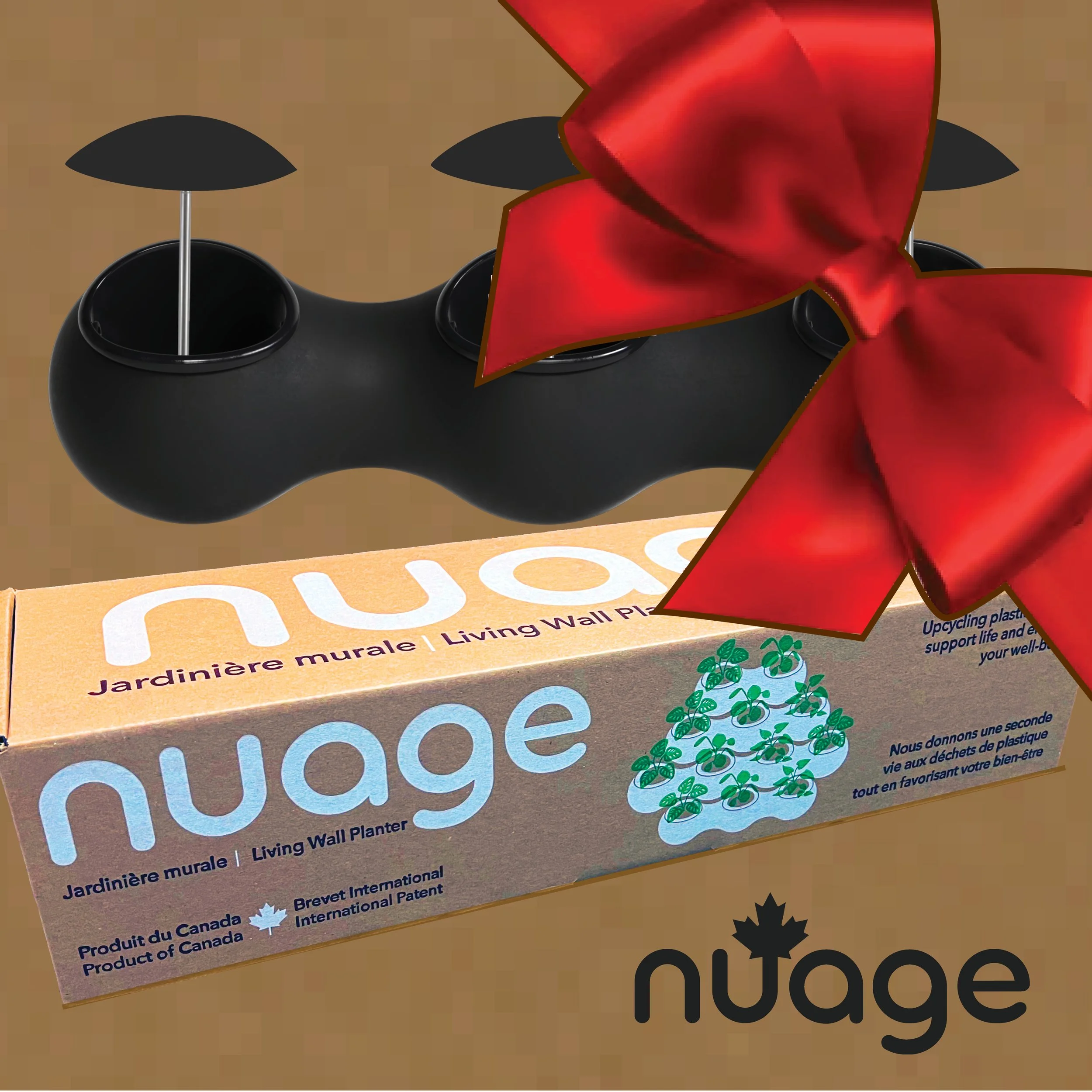 Home Grown Bundle — Holiday Edition — Black Cloud/Gloss